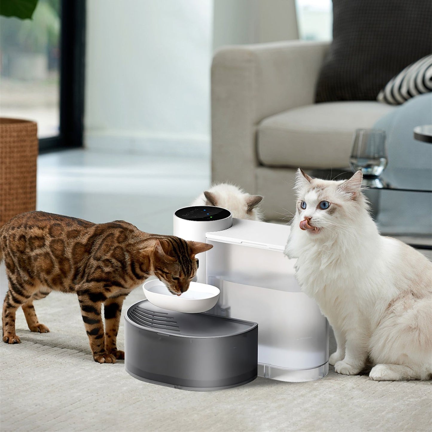 Cat drinking from detachable water bowl with fountain and waste basin behind on tile floor