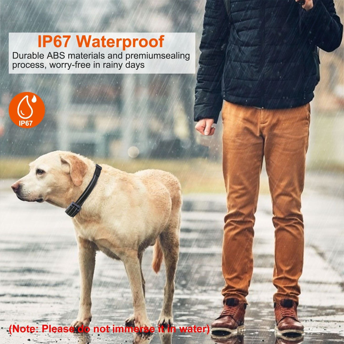 Dog wearing training collar beside person in rain illustrating IP67 waterproof use