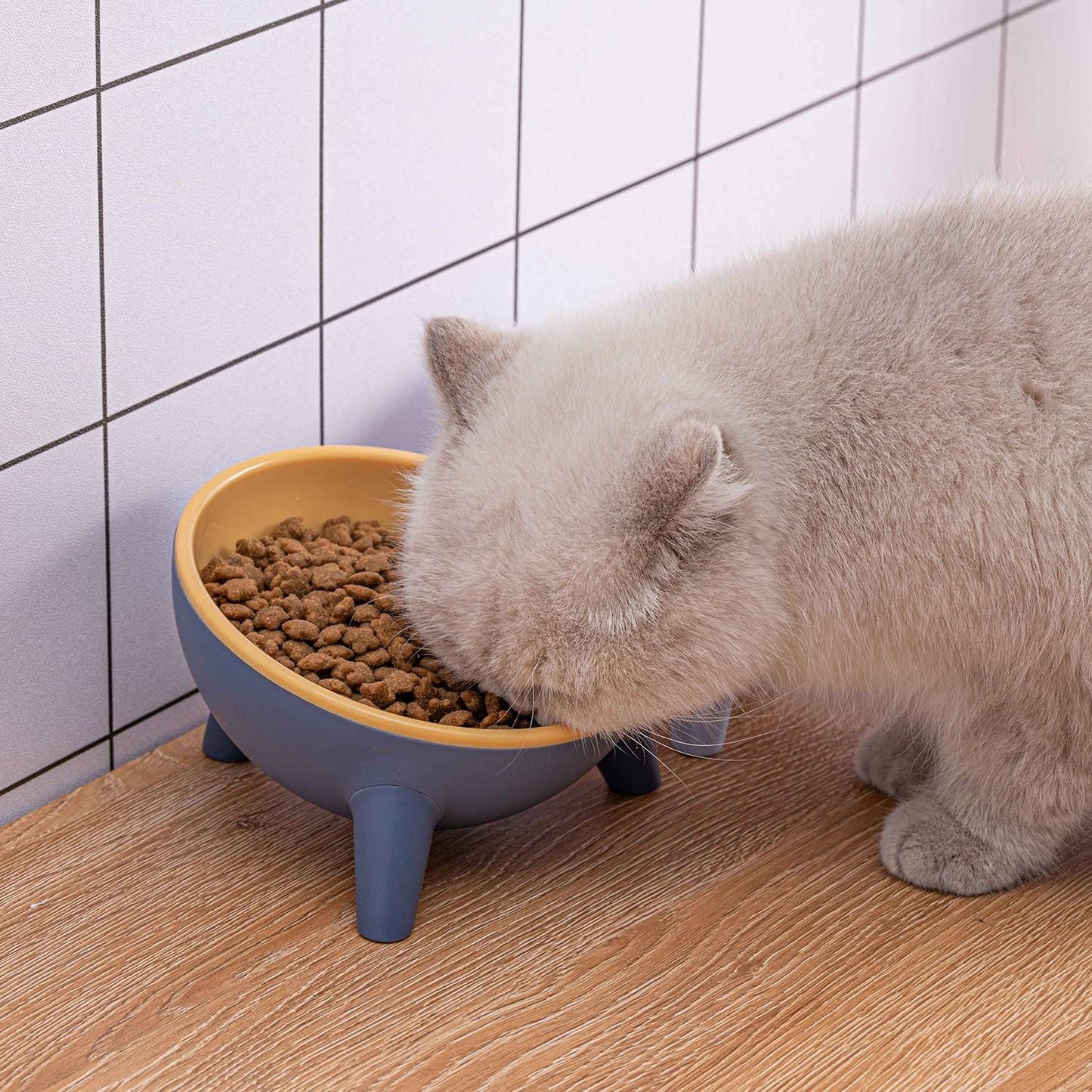 Cat eating from elevated blue-and-yellow tilted bowl on round pink pedestal