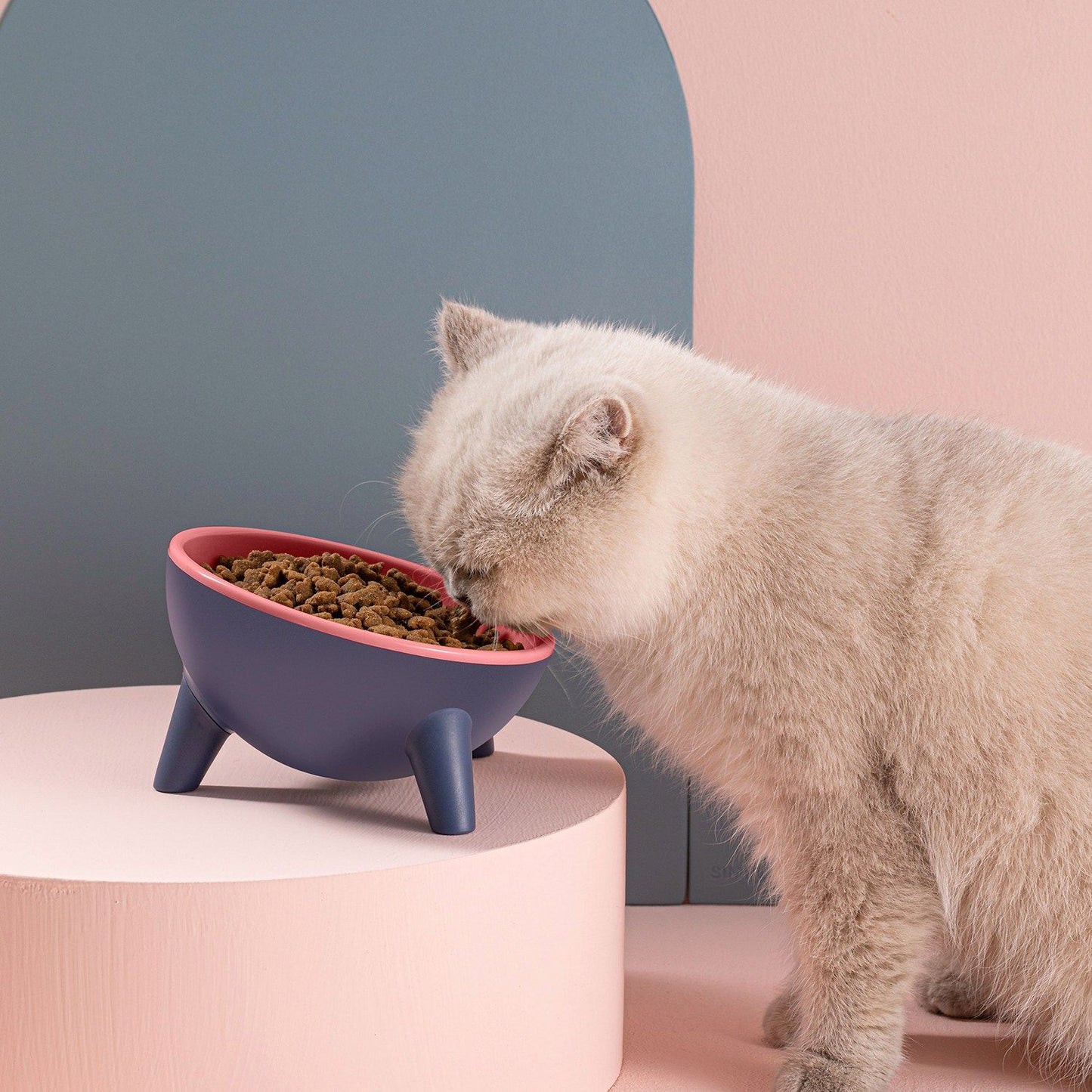 Bowl being rinsed and shown in a dishwasher to illustrate dishwasher-safe PET material