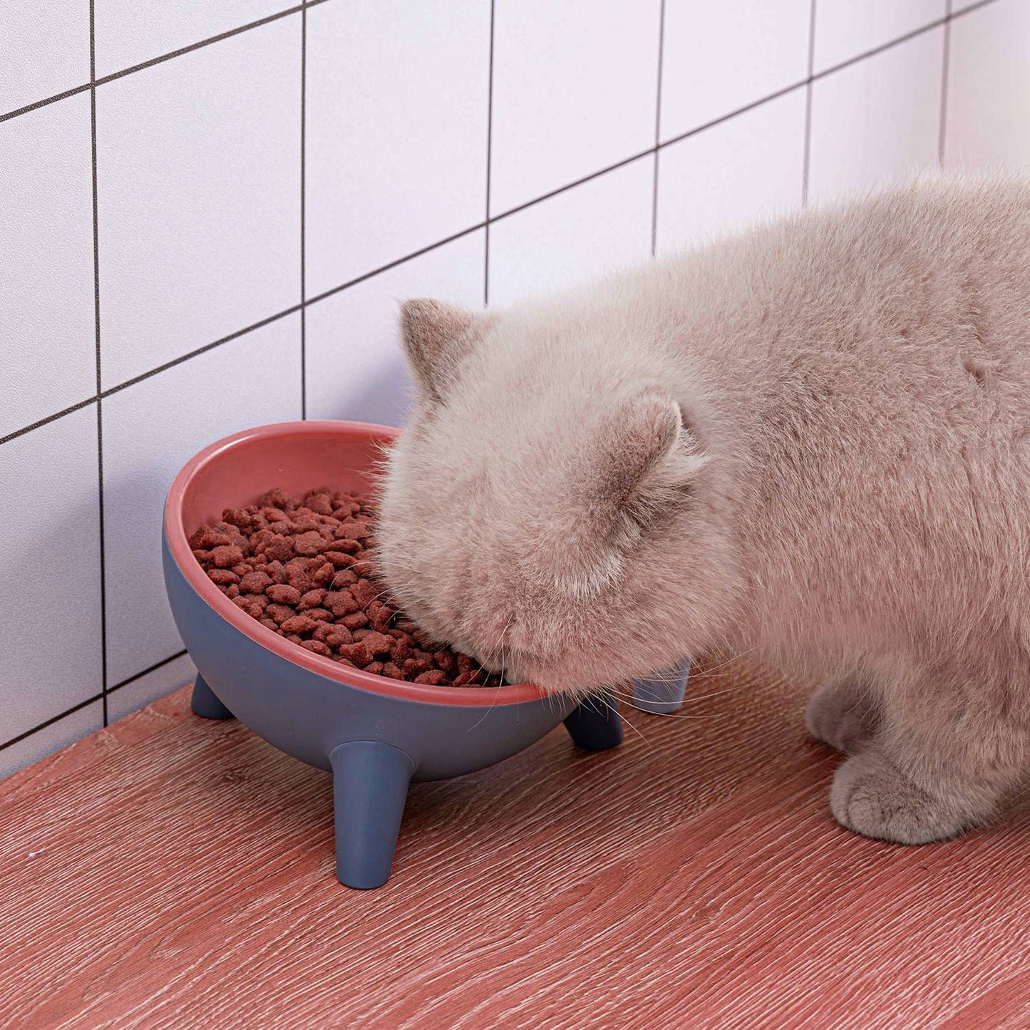 Cat eating from tilted elevated bowl placed on round pedestal in pastel setting