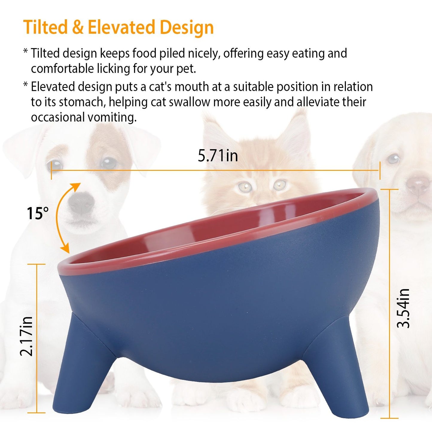 Cat eating dry kibble from angled elevated bowl on pedestal
