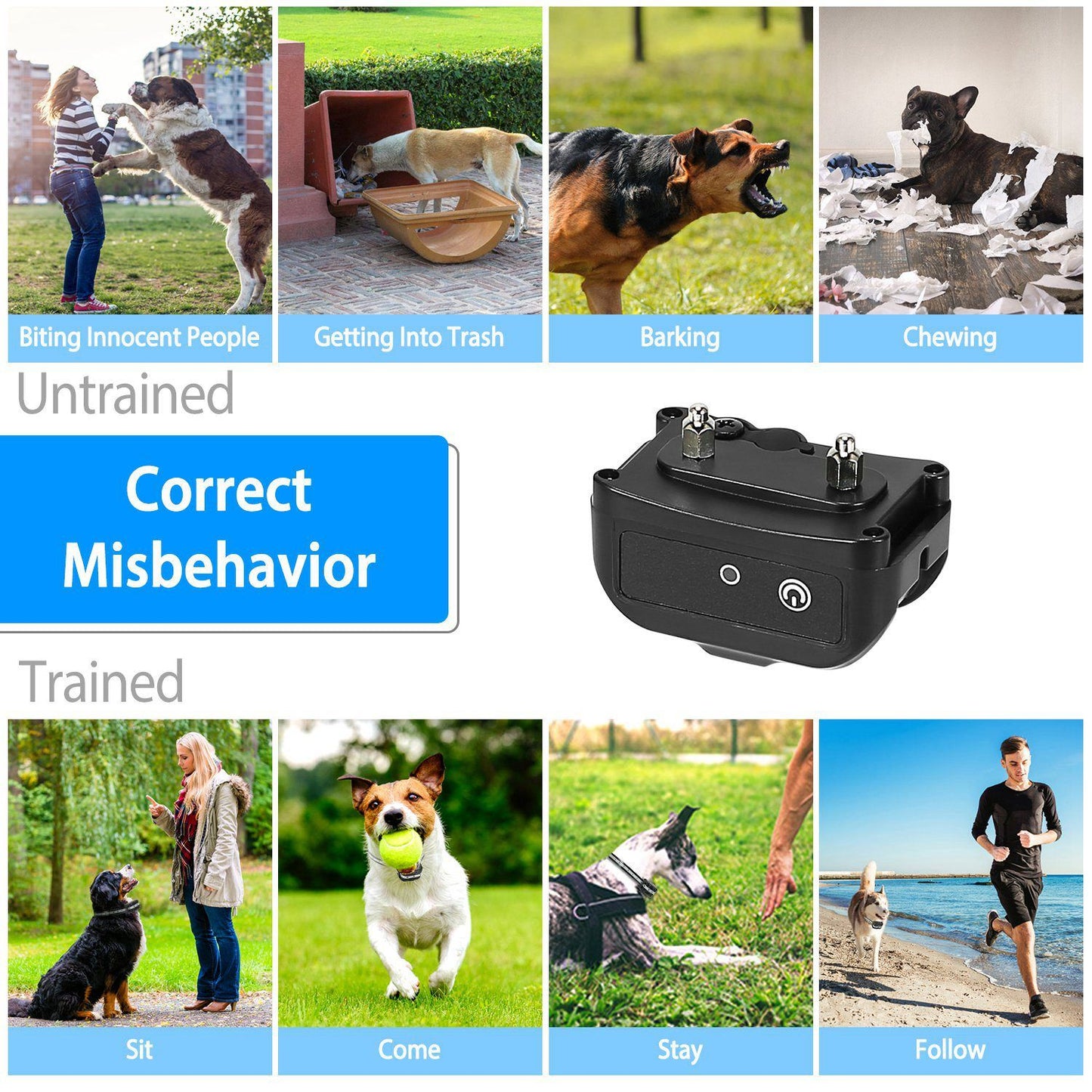 Before-and-after collage of untrained behaviors and trained commands with collar receiver image