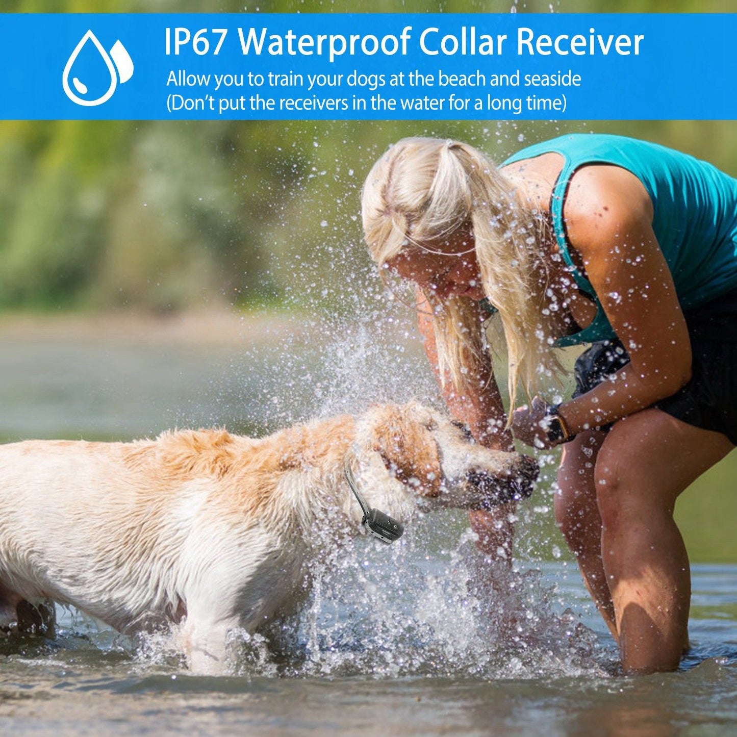 Person with dog wearing collar in shallow water demonstrating IP67 water resistance