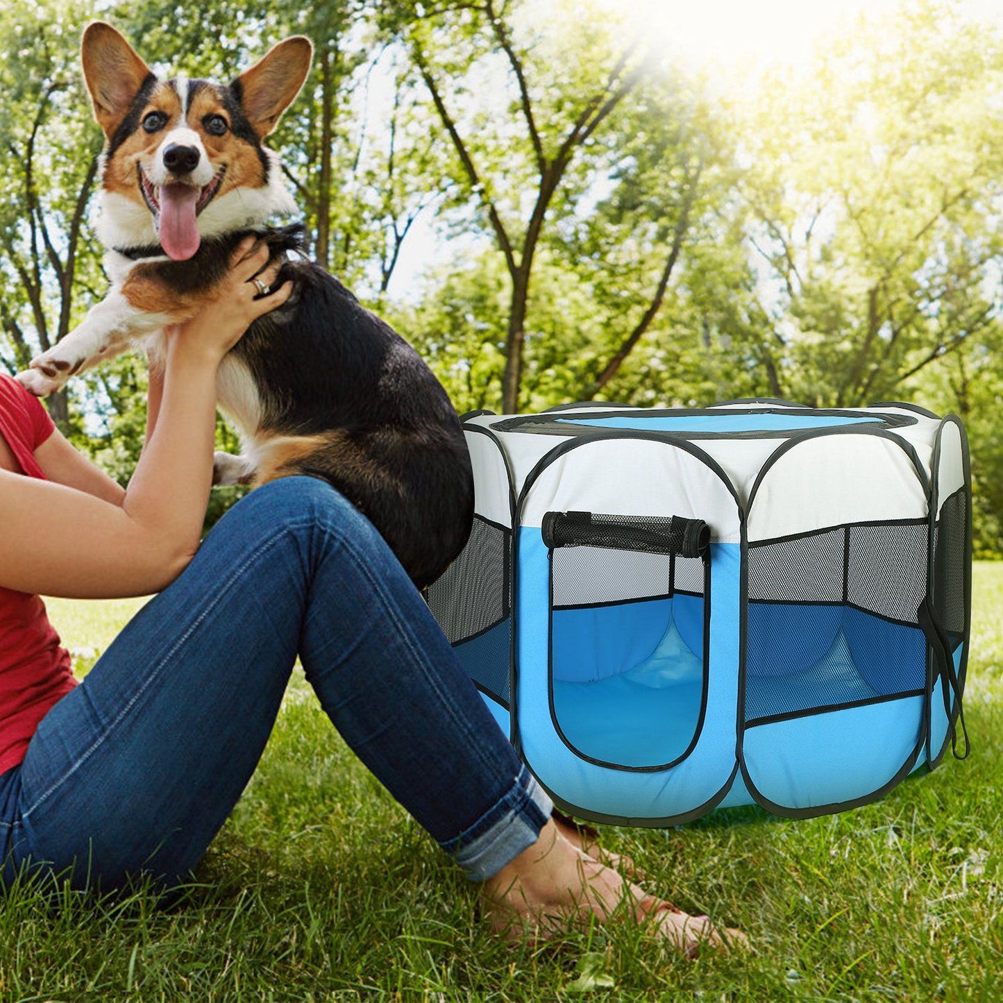 Blue playpen on grass at park beside person and dog, showing outdoor use and scale