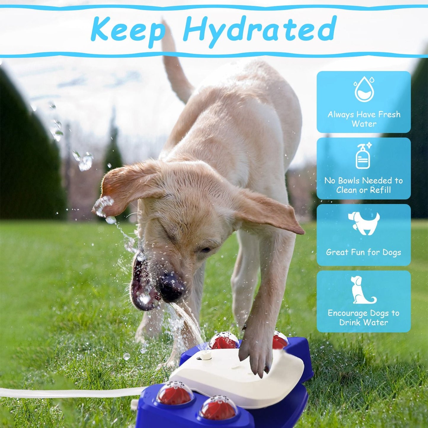 Dog drinking from step-on water fountain on grass with promotional hydration text