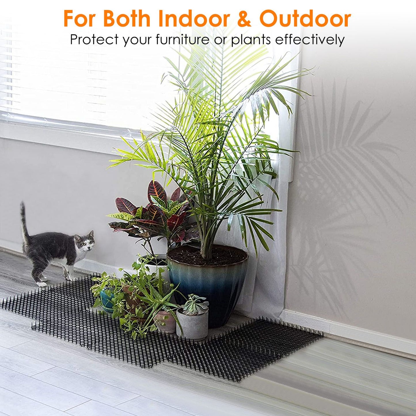 Potted plants sitting on assembled spike mats indoors with a cat approaching