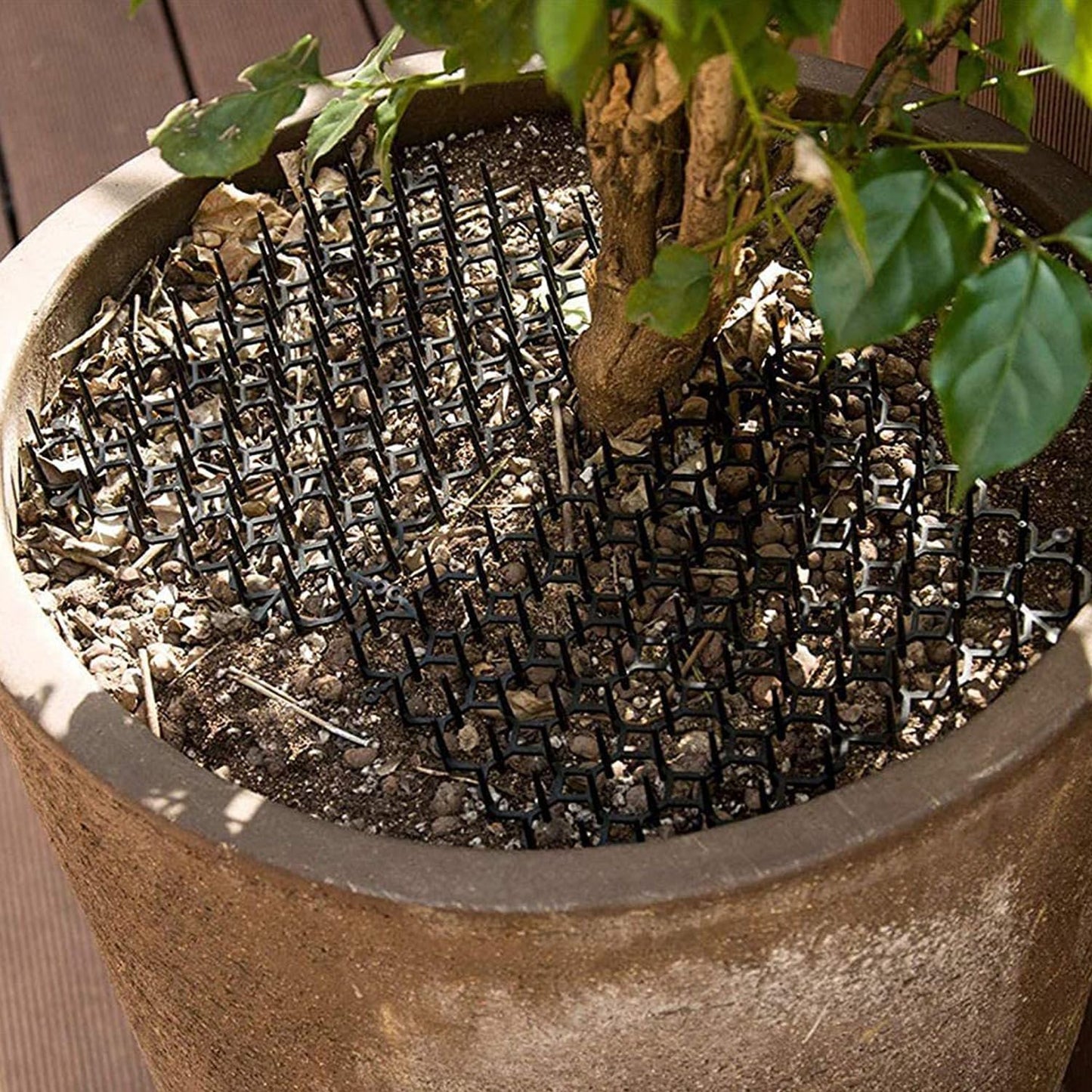 Mat panel placed inside a planter covering soil around a plant stem