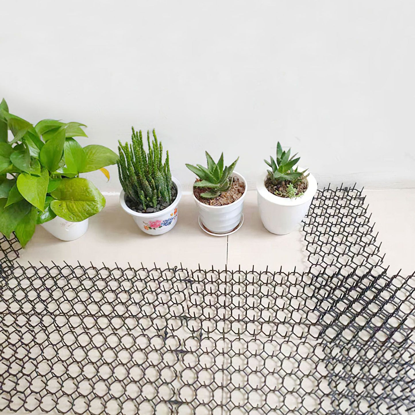 Overhead view of assembled spike mats forming a protective strip beneath potted plants
