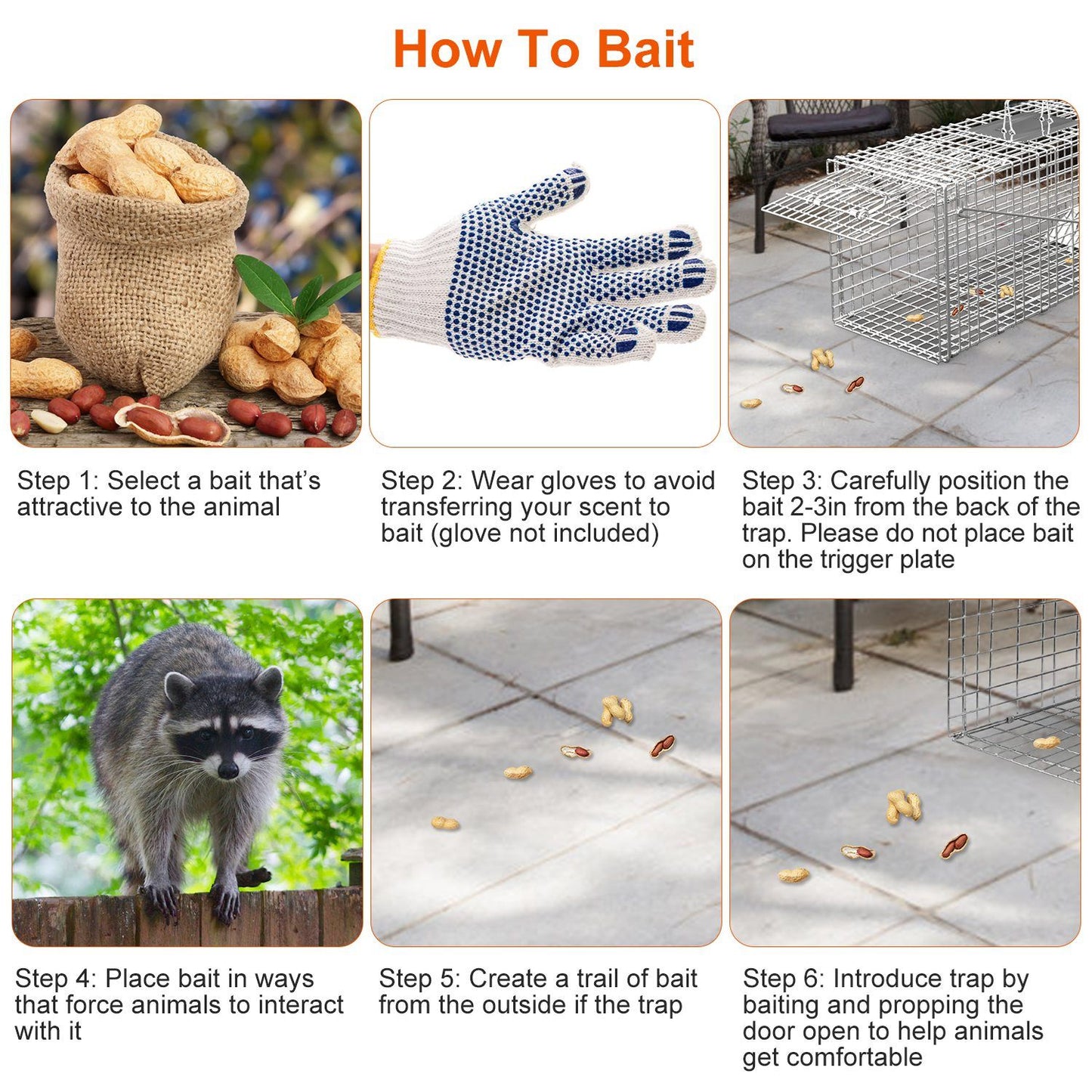 Baiting guide with steps to select bait wear gloves create a bait trail and position food near the trap