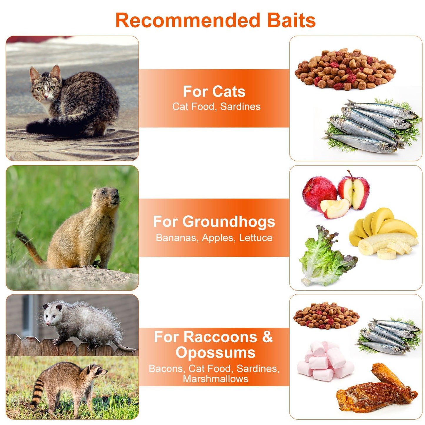 Recommended baits chart showing sardines cat food fruits and meats for different trapped animals