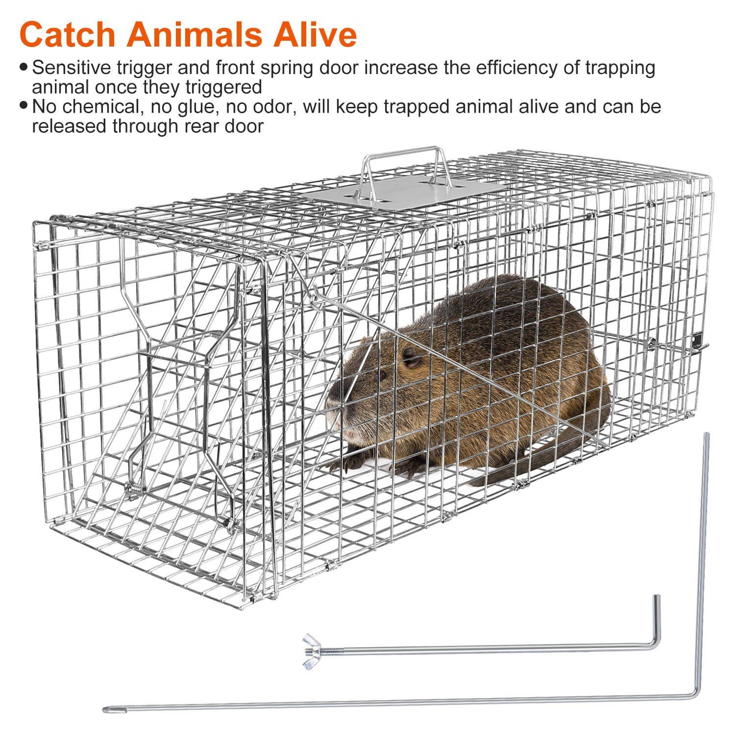 Assembled galvanized trap with captured rodent and included trigger and lock rods laid beside it
