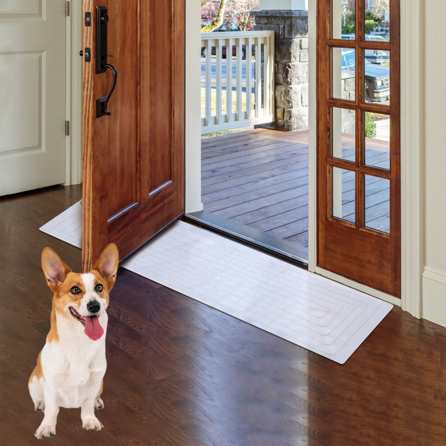 Training mat used as a runner at an entryway, placed under an open door with a corgi nearby