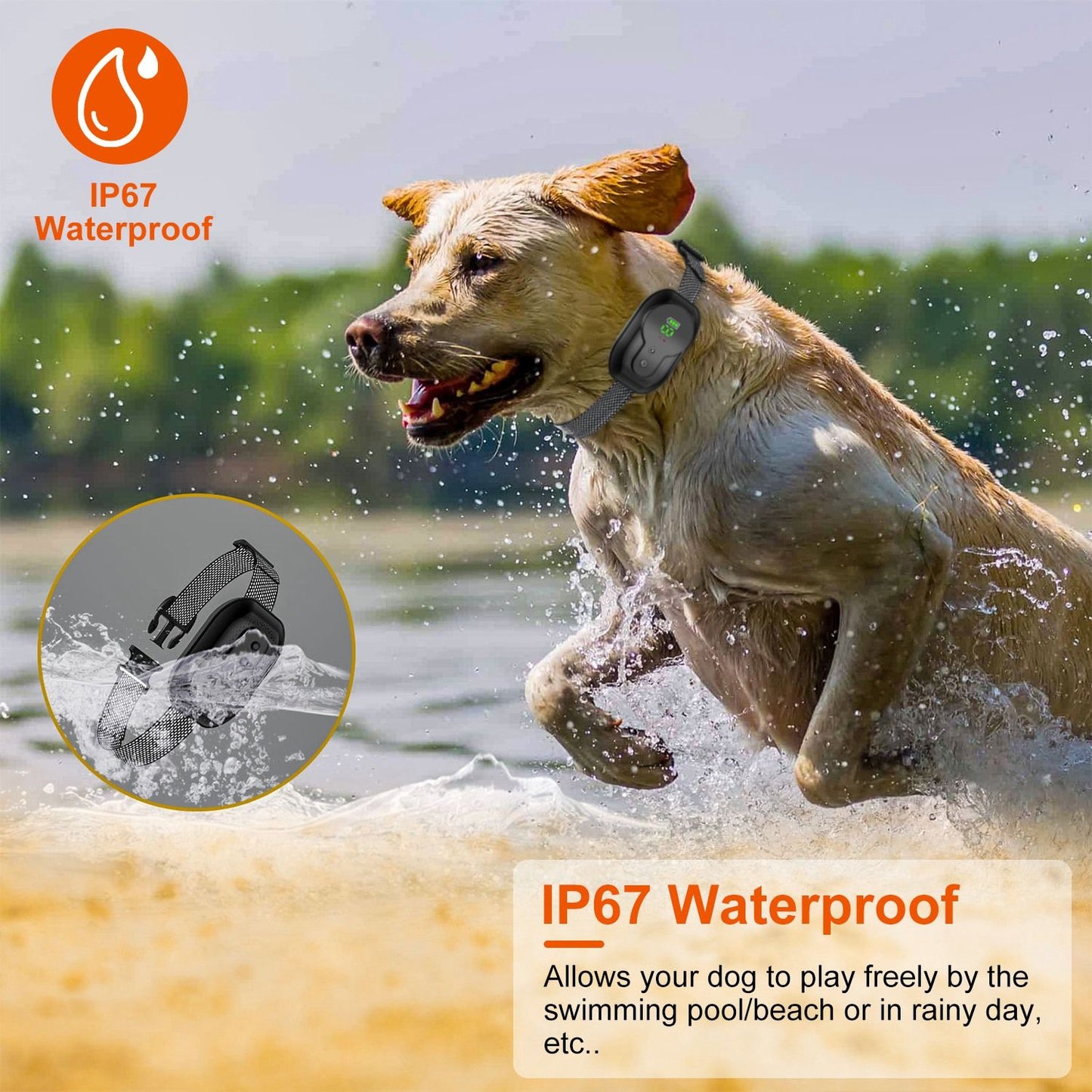 Dog wearing waterproof anti-bark collar running through water, labeled IP67 protection
