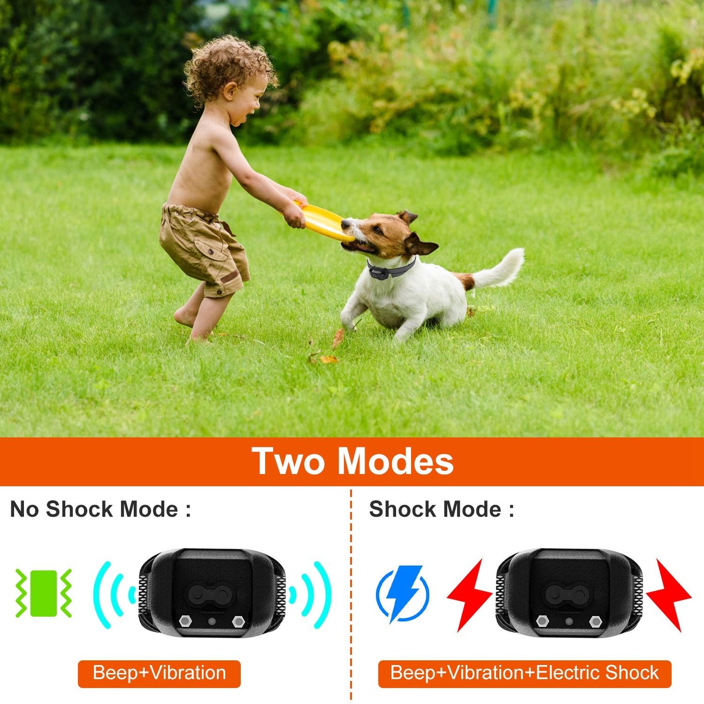 Small terrier wearing anti-bark collar while playing tug with child on grass