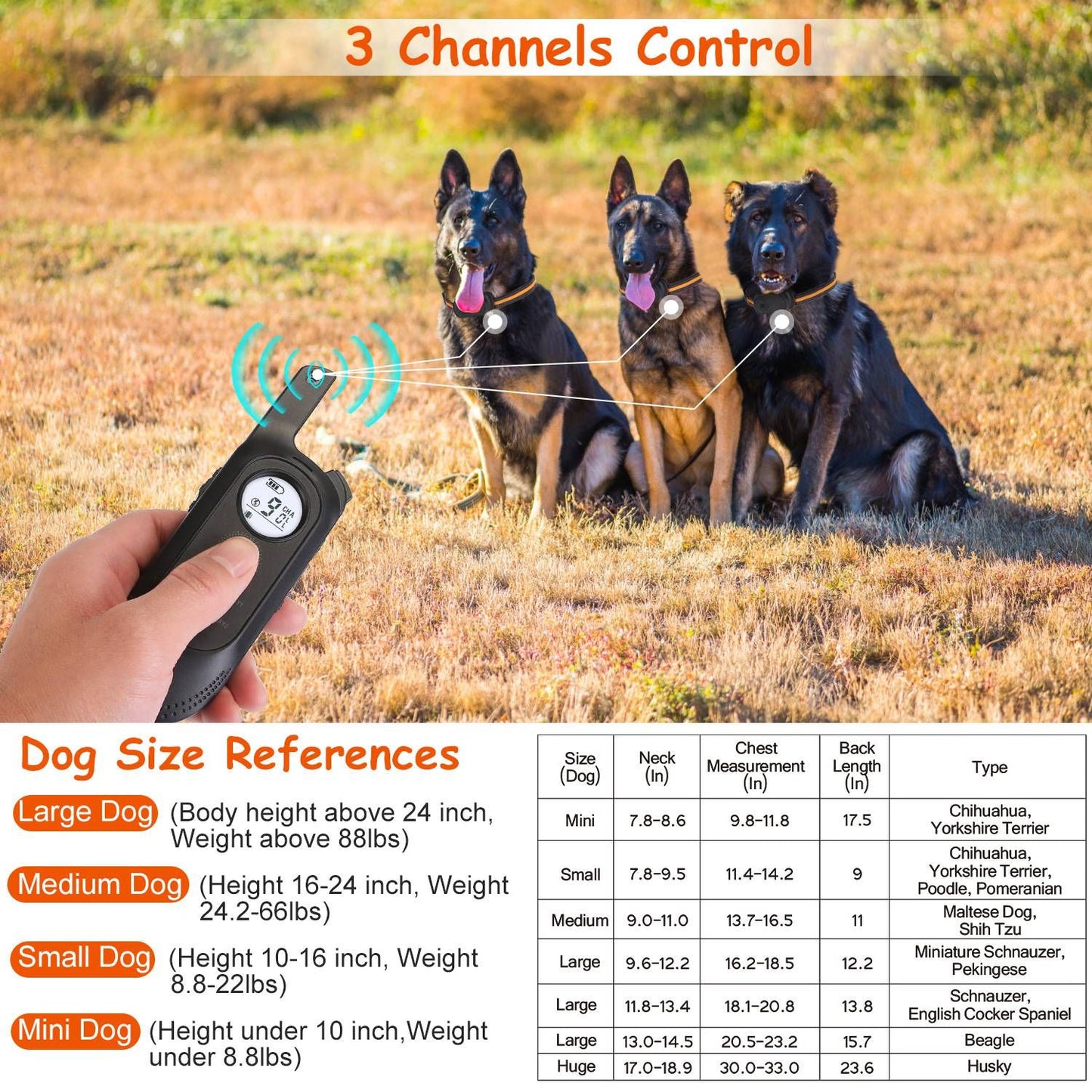 Hand-held transmitter pointing at three seated dogs to illustrate three-channel control for training multiple dogs.