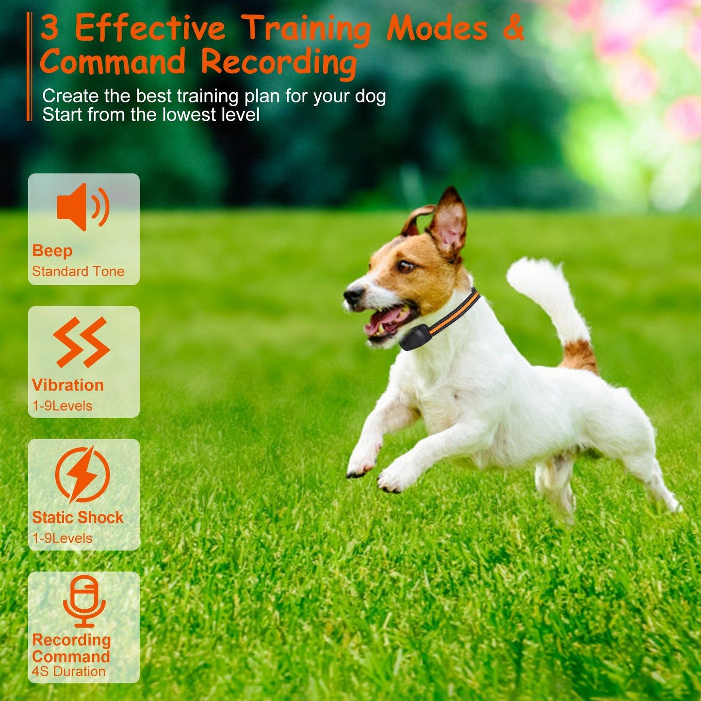 Small dog running on grass wearing the training collar, showcasing beep, vibration and static shock training modes.