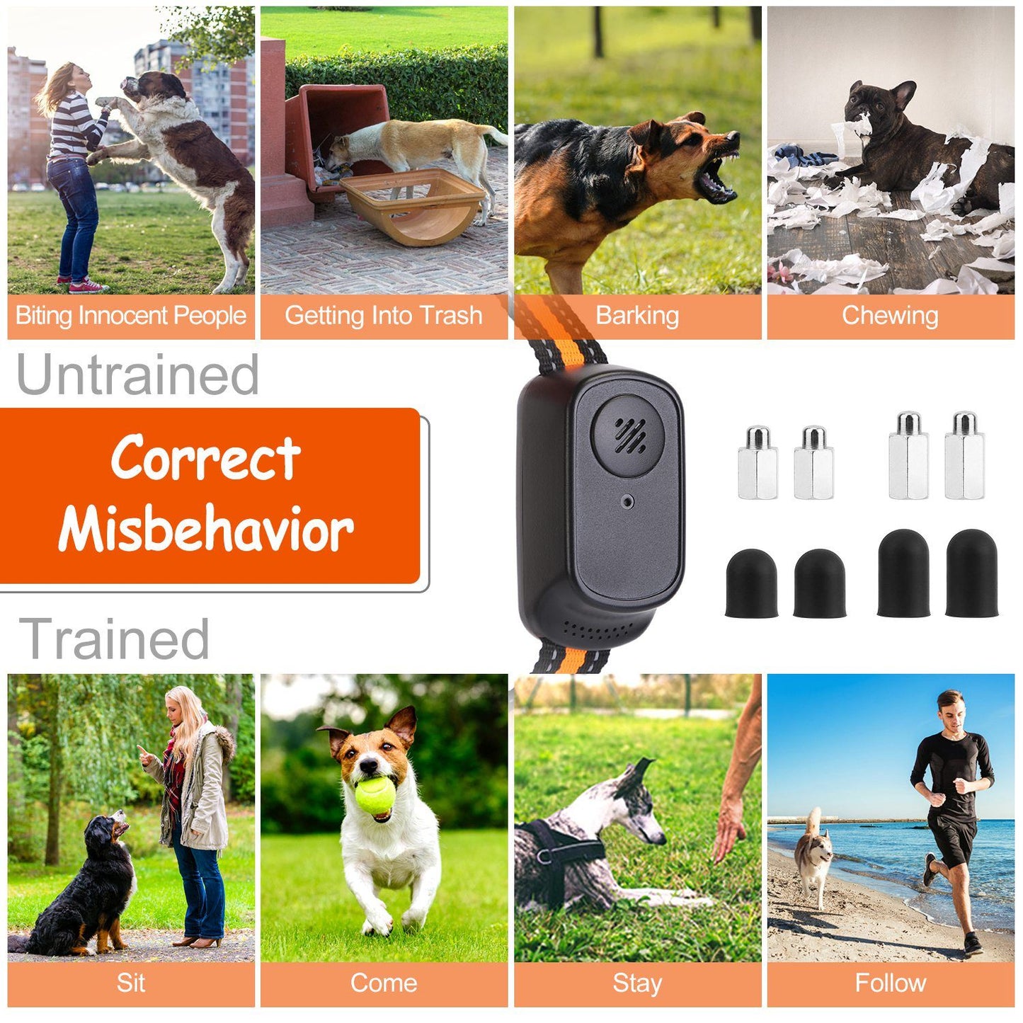 Collage comparing untrained misbehavior and trained obedience with the receiver collar and silicone caps shown.