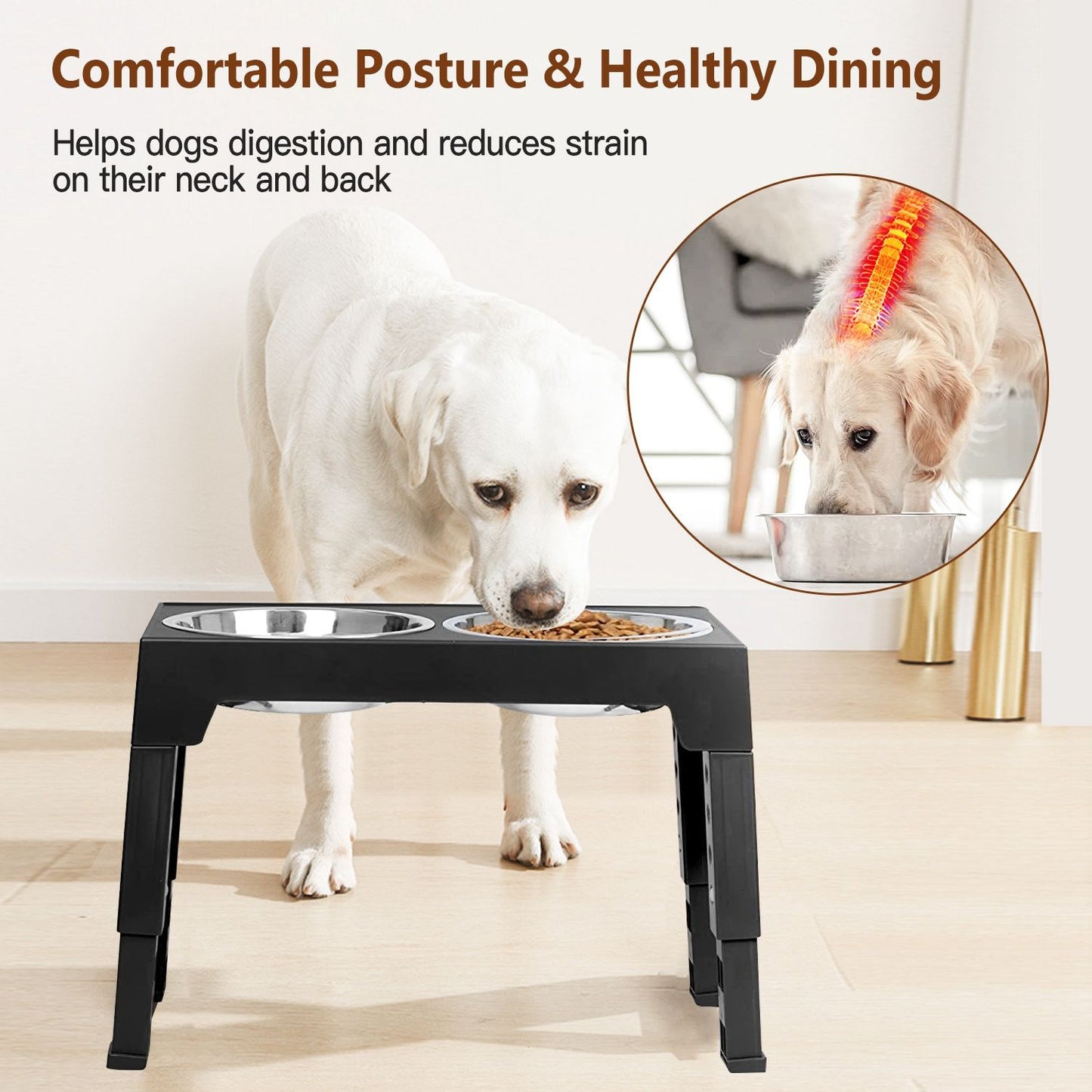 White dog eating from elevated double-bowl feeder to show comfortable posture