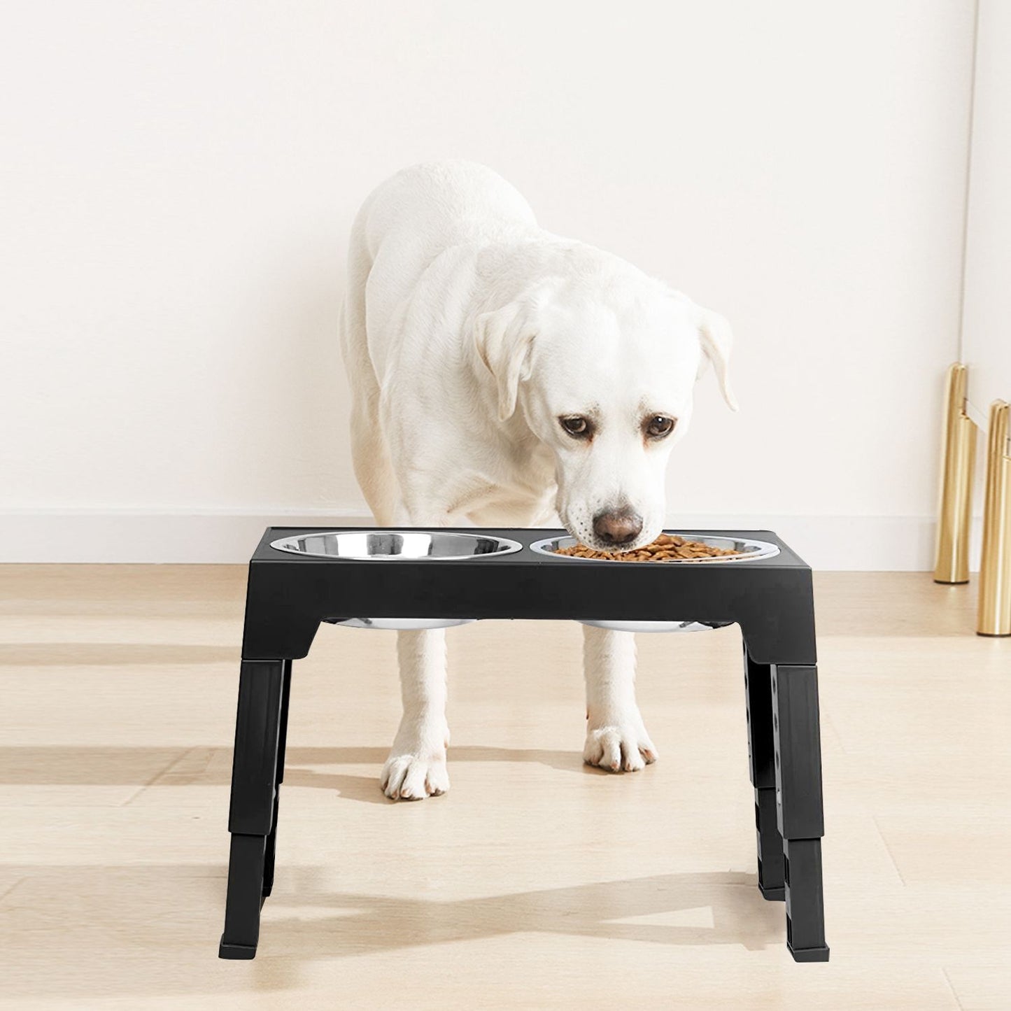 White dog eating from elevated feeder at higher height to demonstrate improved posture
