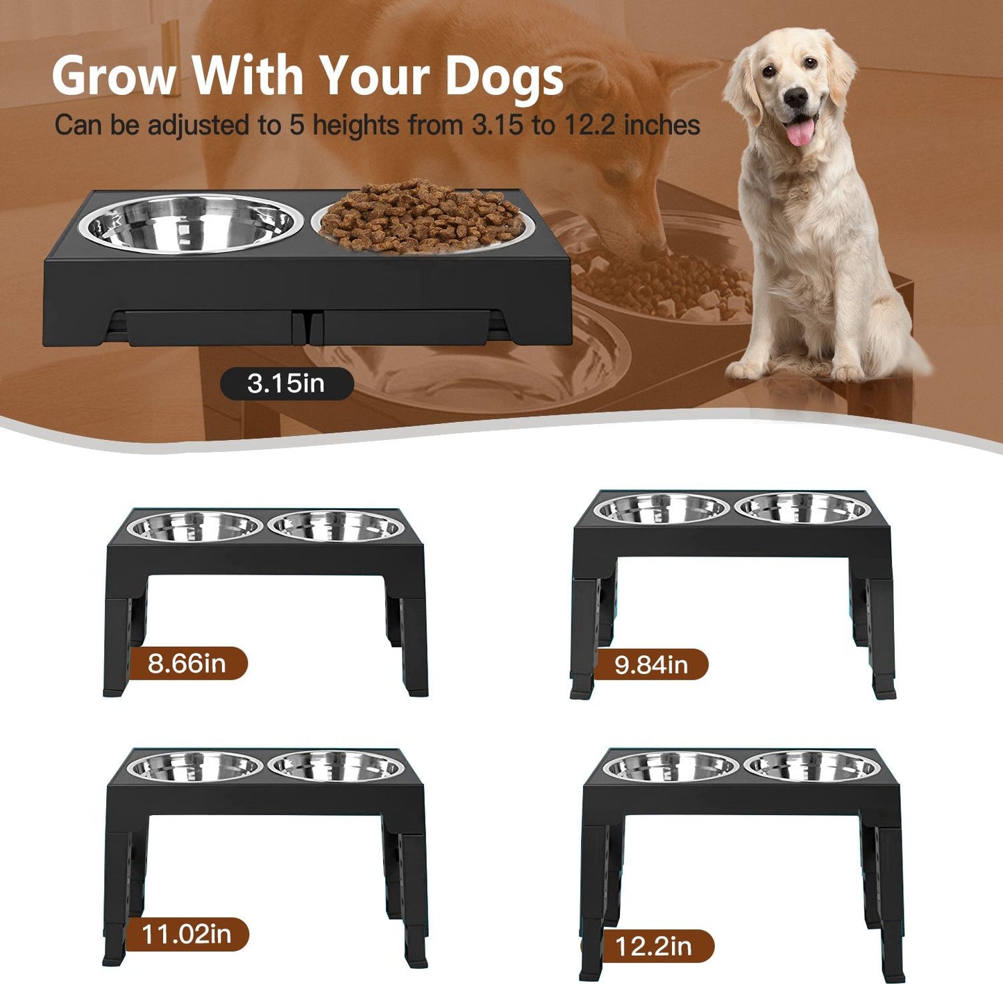Feeder displayed at five adjustable heights with measurements and dog for scale