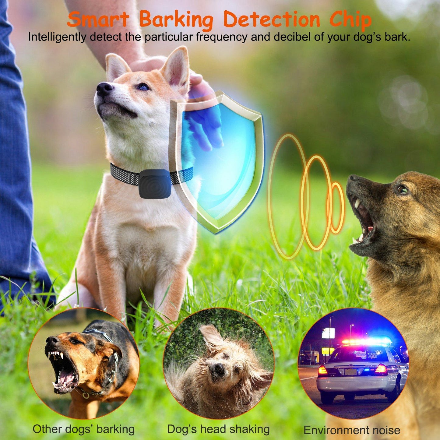 Dog wearing anti-bark collar with nearby barking dog illustrating detection