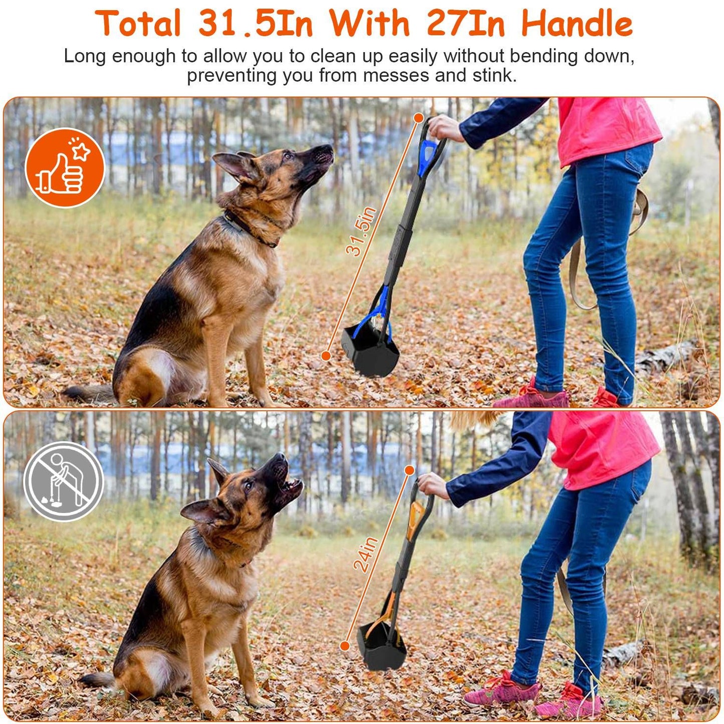 Comparison graphic showing 31.5 inch scooper in use versus shorter handle, person using it with a dog outdoors