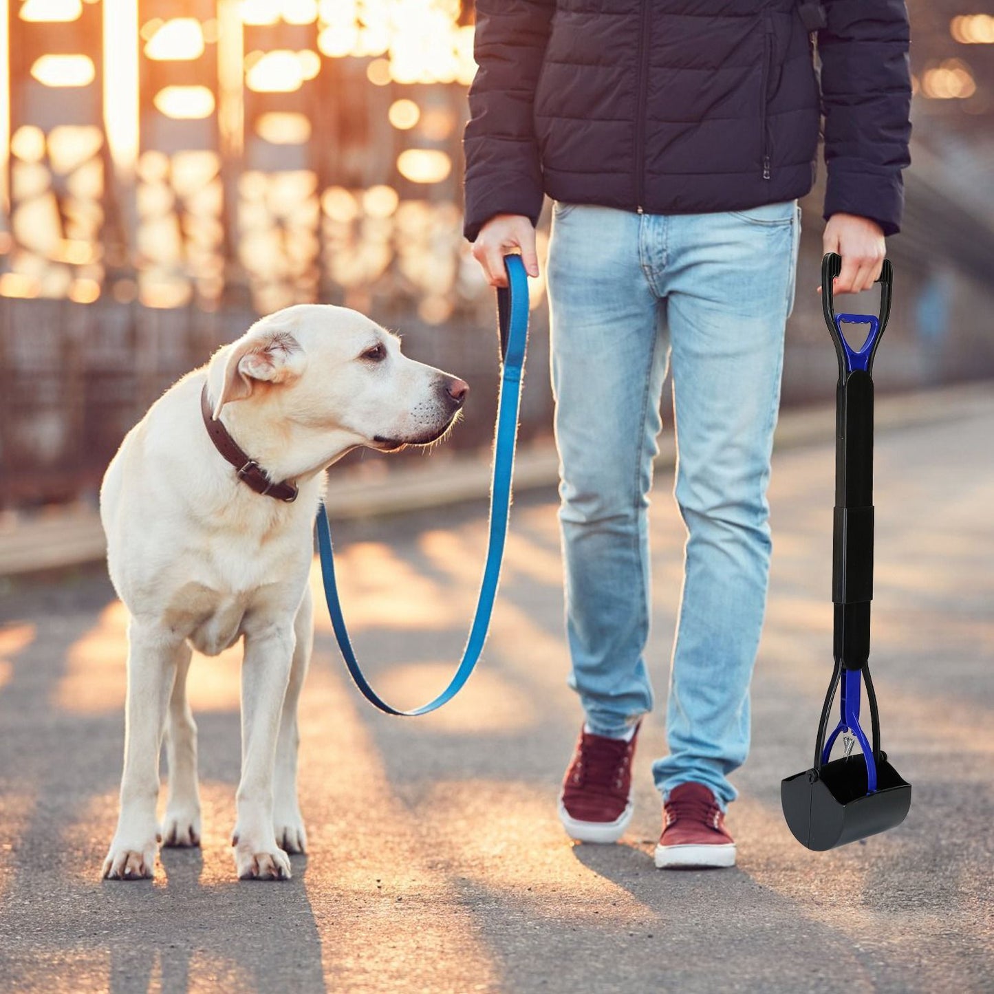 Person walking a dog on a paved street at sunset with pooper scooper shown upright nearby