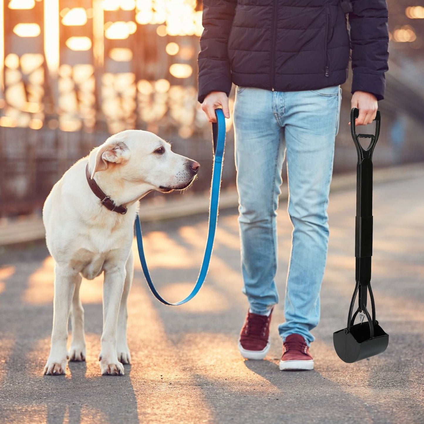 Person walking a Labrador on a paved path with pooper scooper shown upright nearby