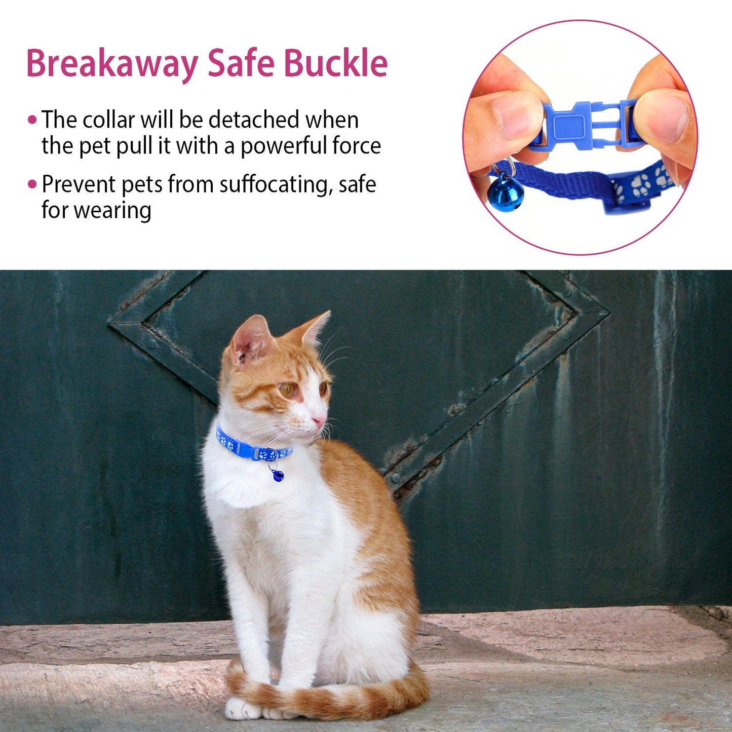 Close-up of breakaway buckle and cat wearing a blue paw-print collar showing safety release