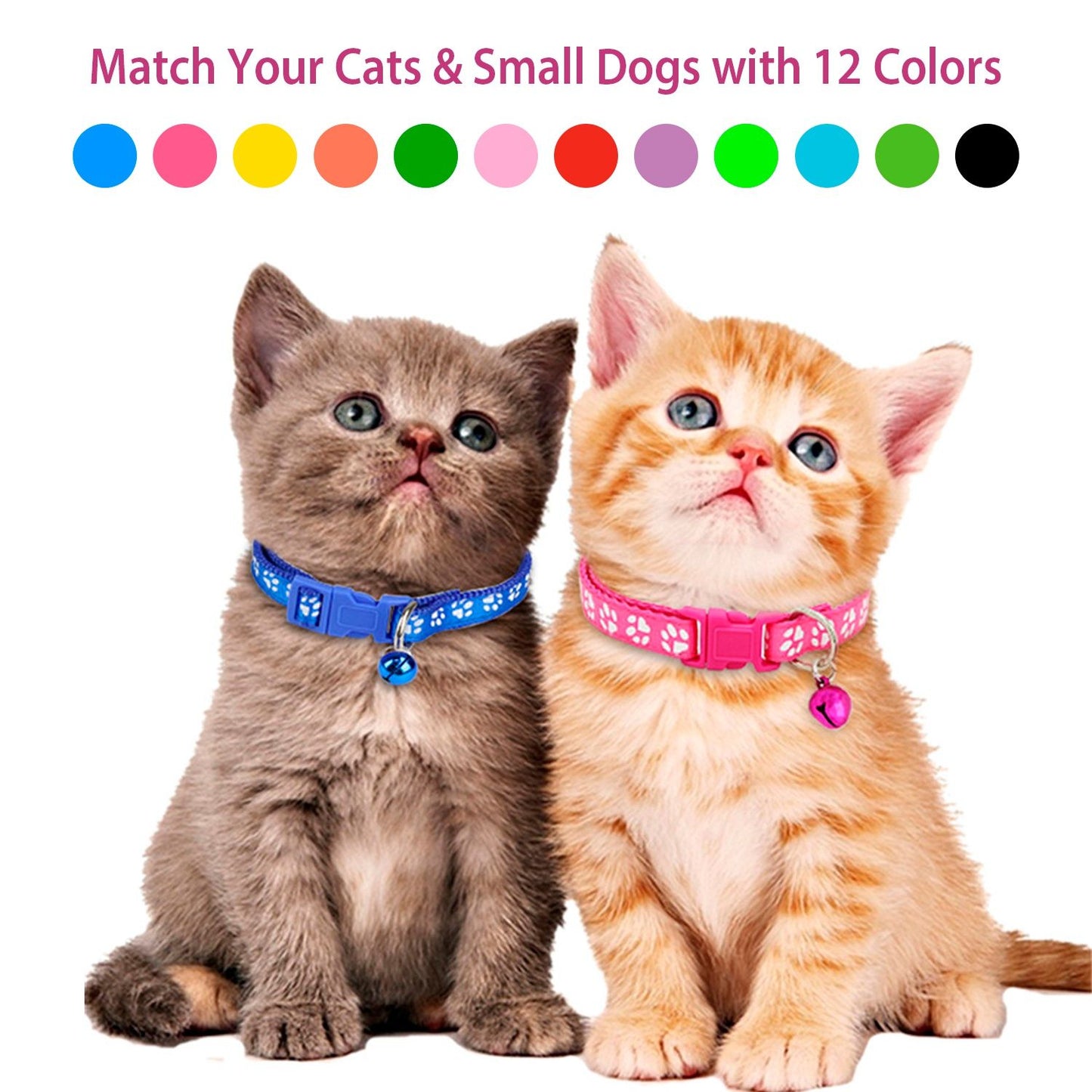 Grey and orange kittens wearing blue and pink paw-print collars to show size and colors
