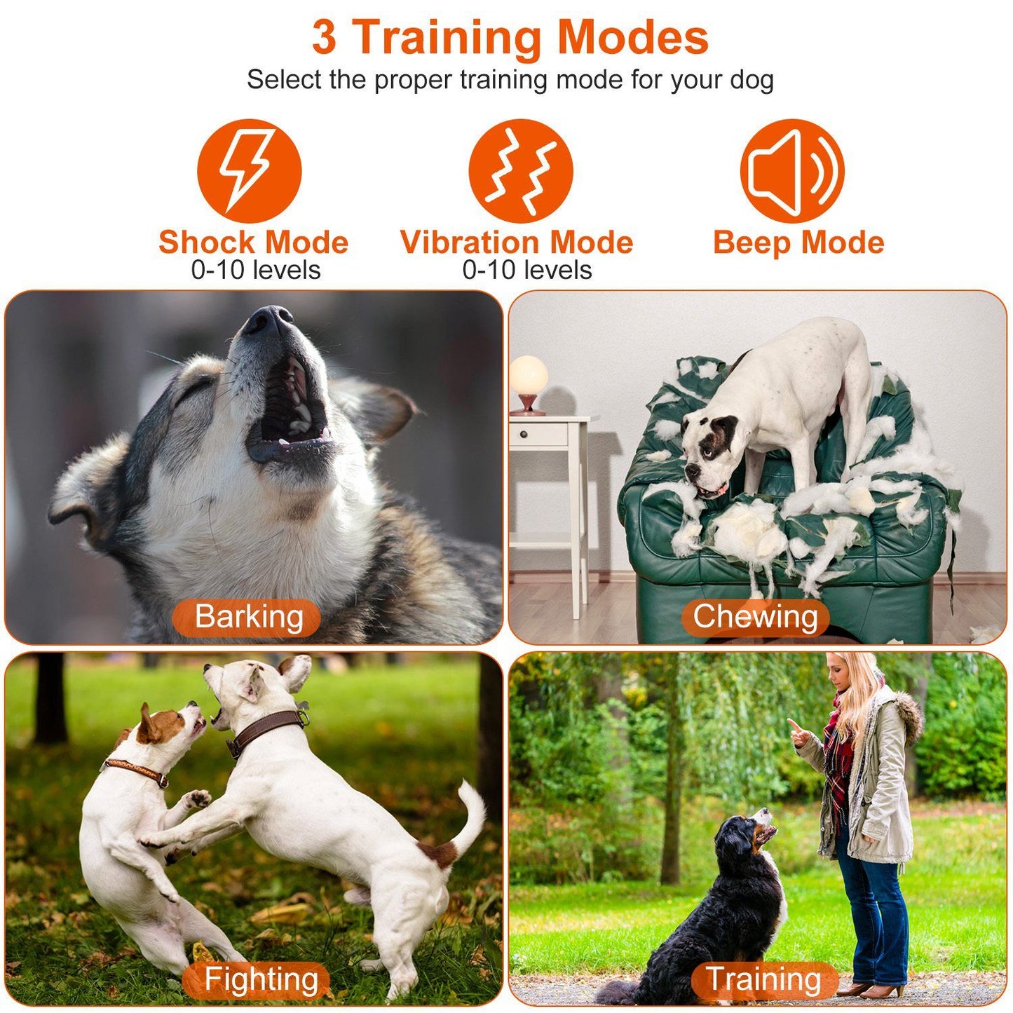 collage illustrating barking, chewing, fighting and obedience training use cases