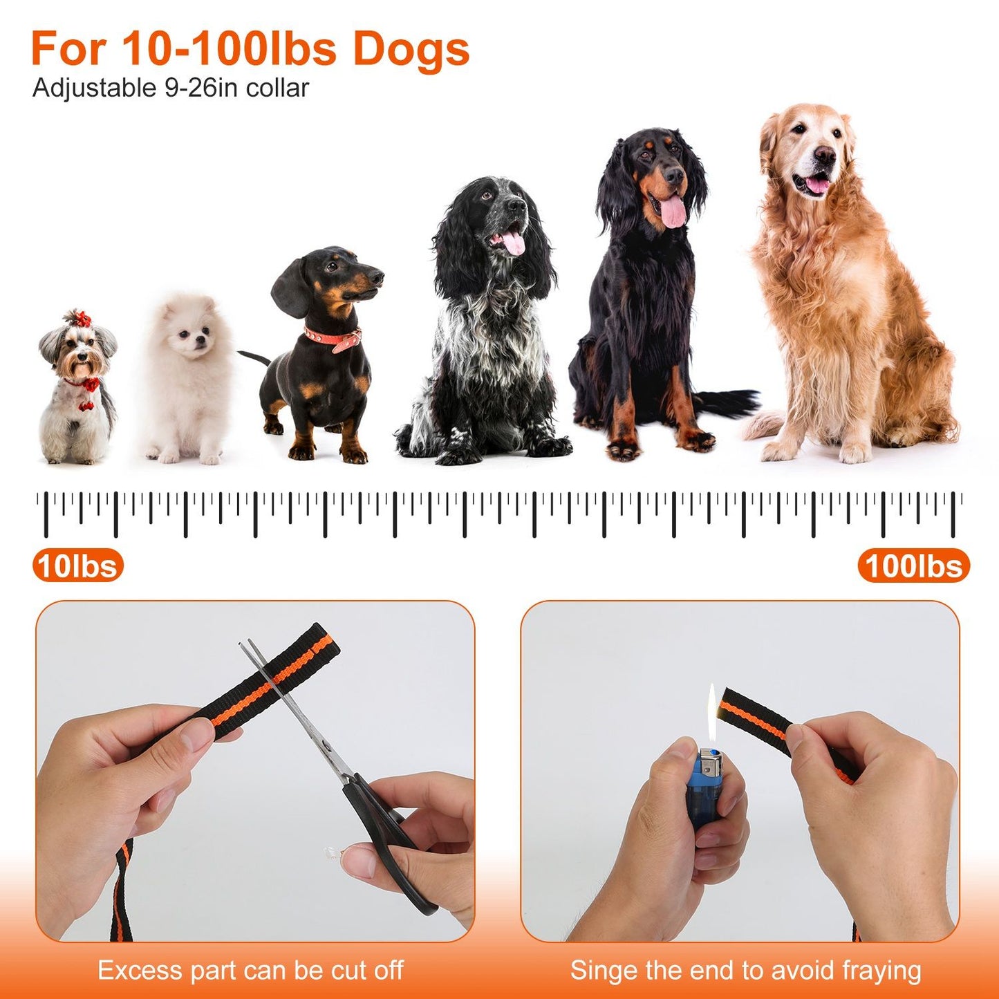 adjustable nylon collar strap for 9–26in necks with trim-and-singe instructions