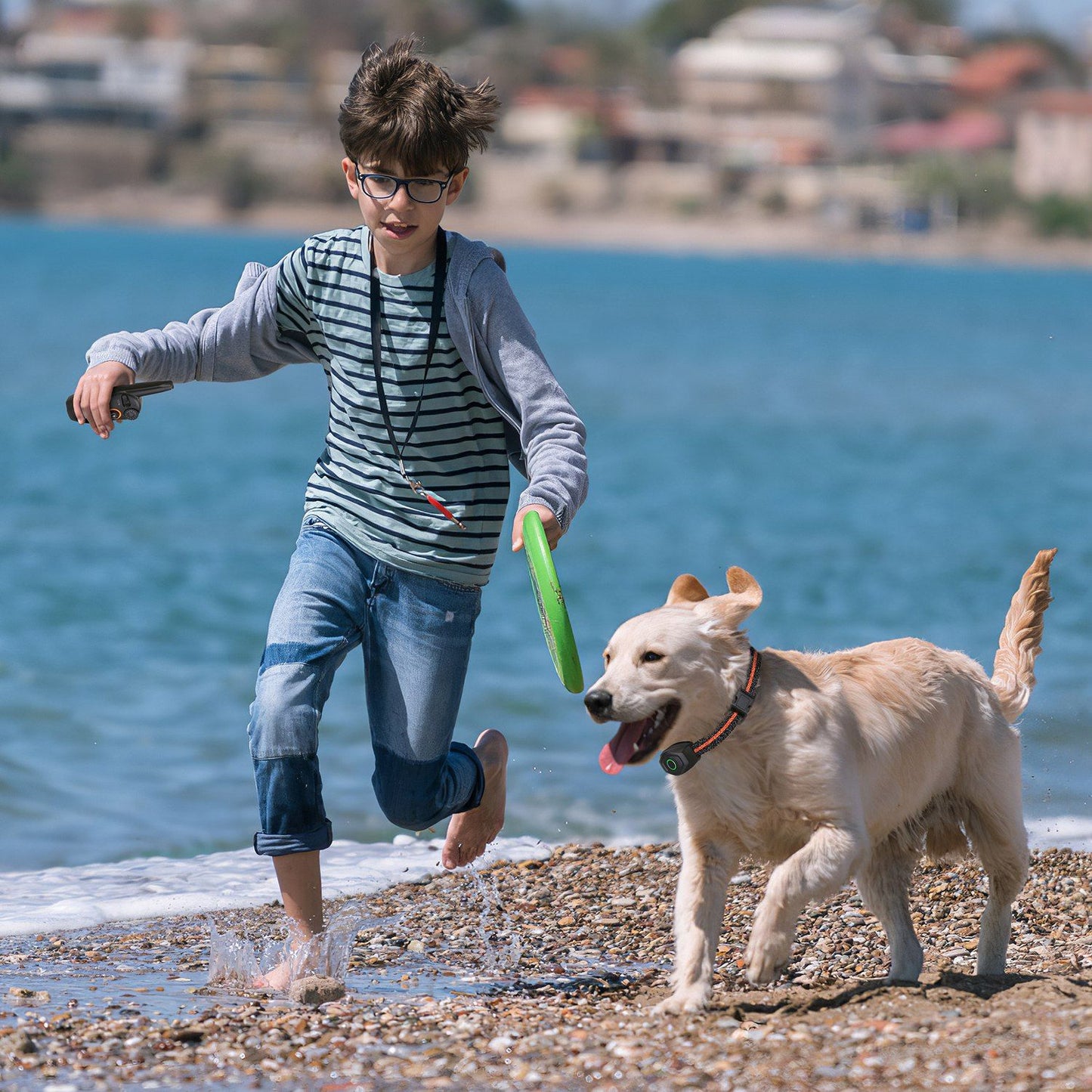 child playing on a beach with a dog wearing a waterproof training collar during fetch