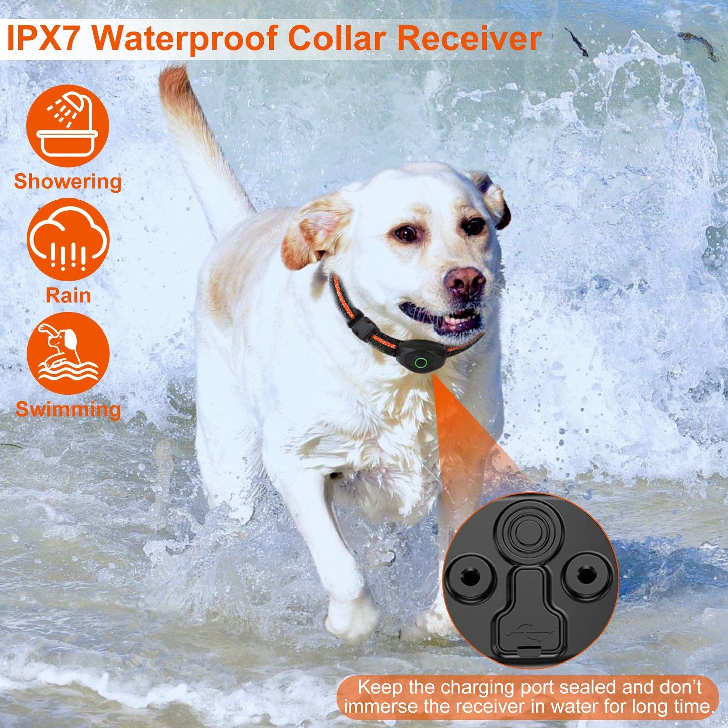 dog wearing IPX7 waterproof receiver in water with sealed charging port detail