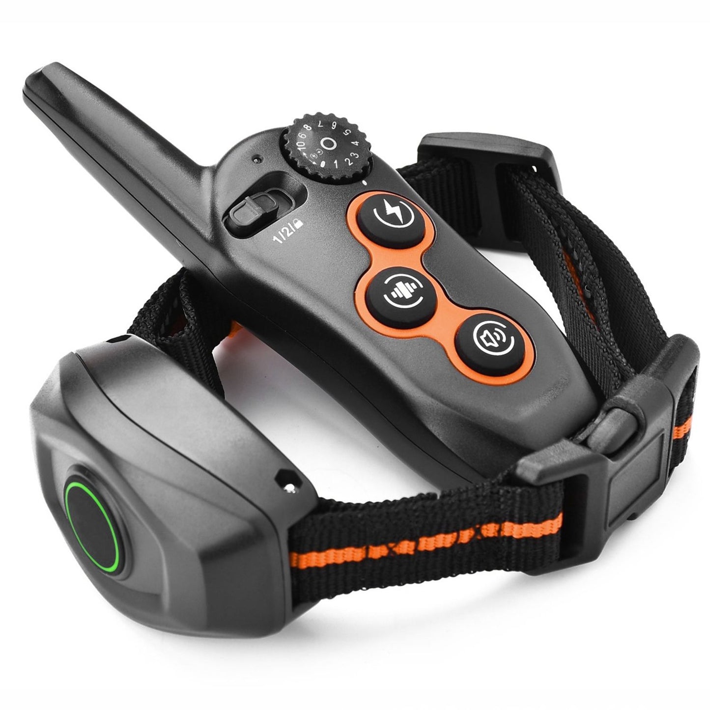 Angled close-up of transmitter resting on the adjustable collar and receiver, showing buttons and buckle