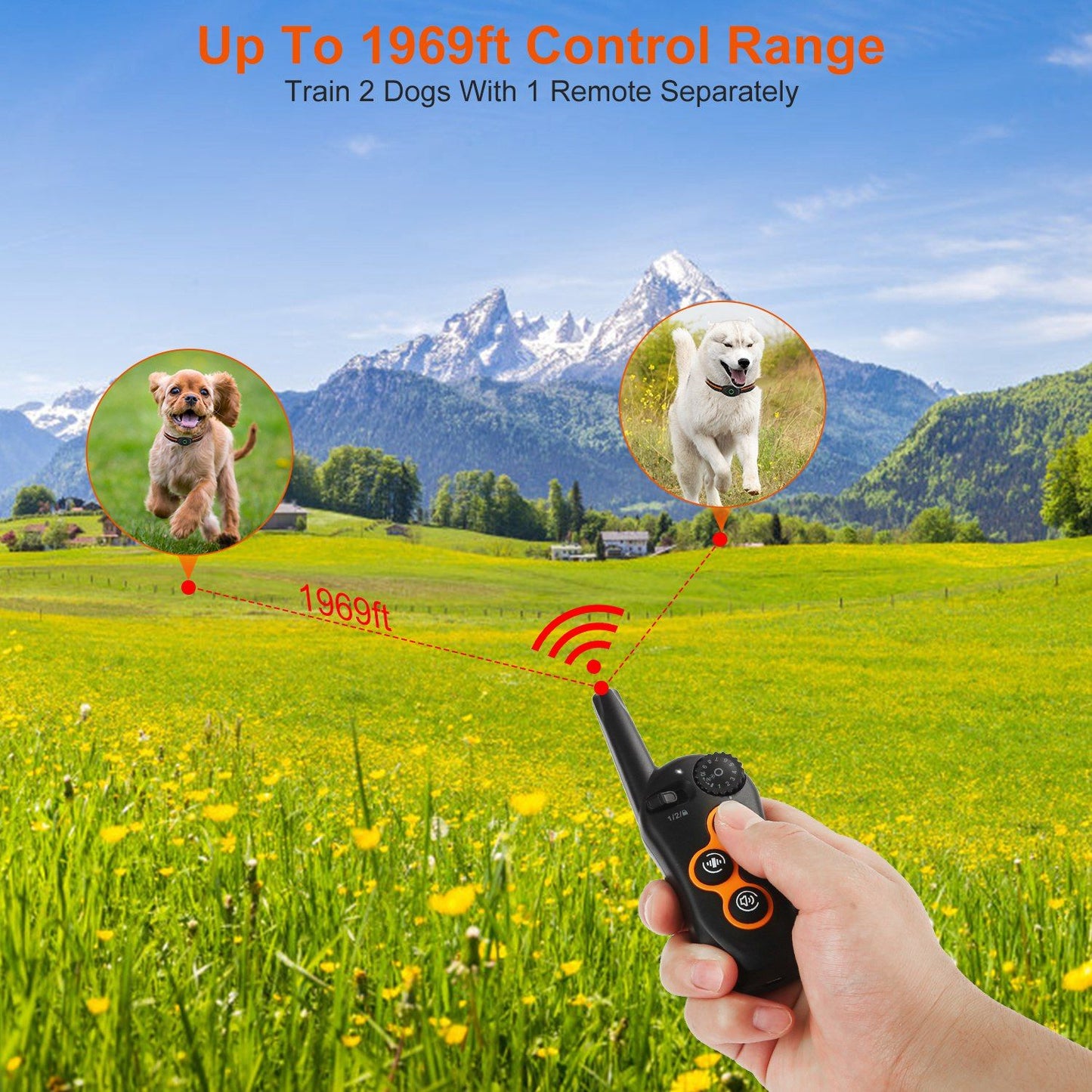 Handheld transmitter pointed toward two distant dogs in a meadow illustrating 1969 ft range