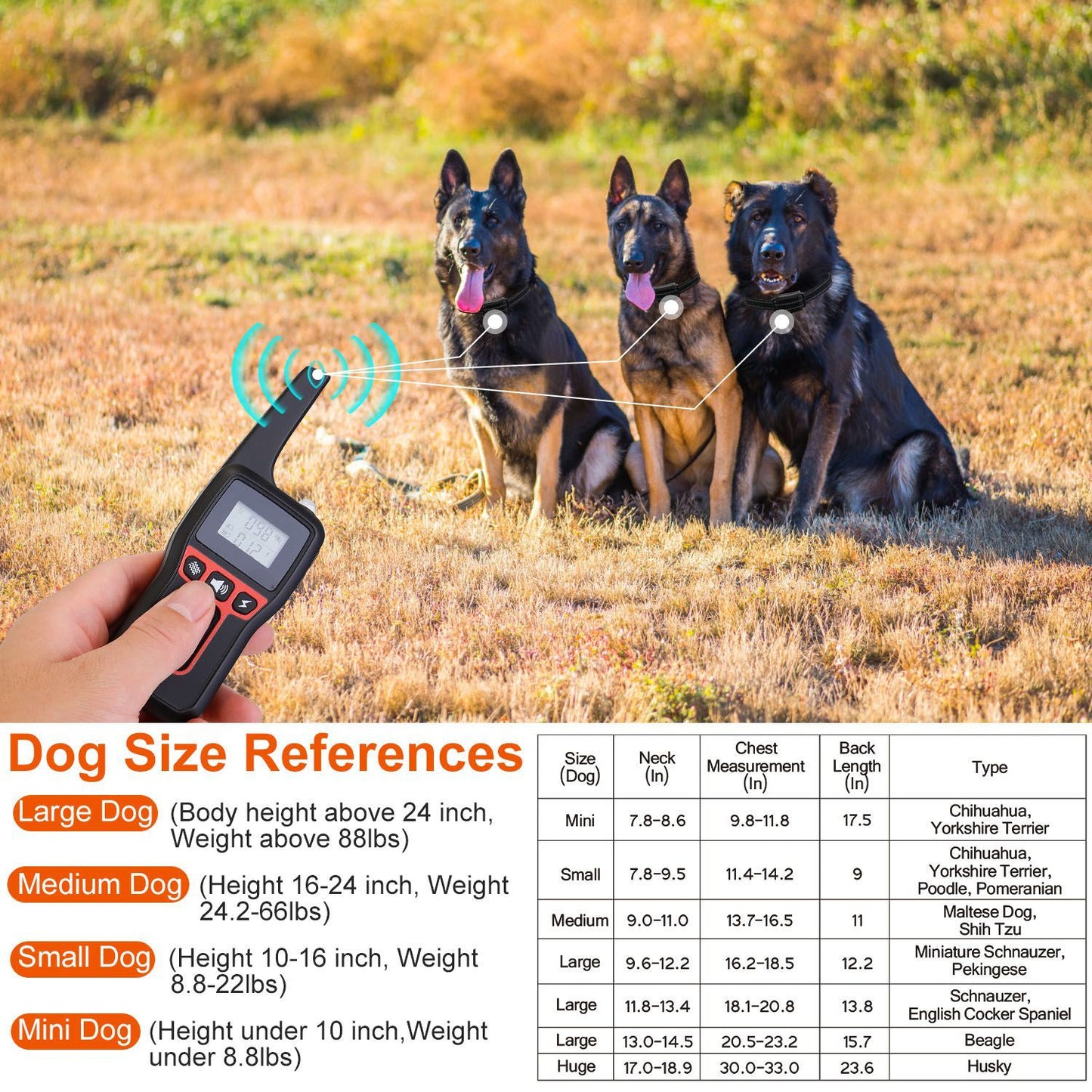Three dogs with remote signals and a chart of neck and chest measurements for dog size reference and fit guidance