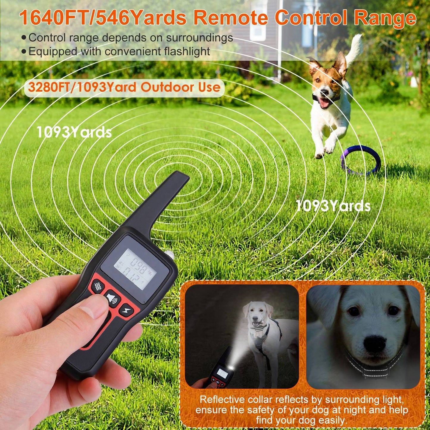 Person holding remote with range rings toward dog in field showing long transmission distance and flashlight use