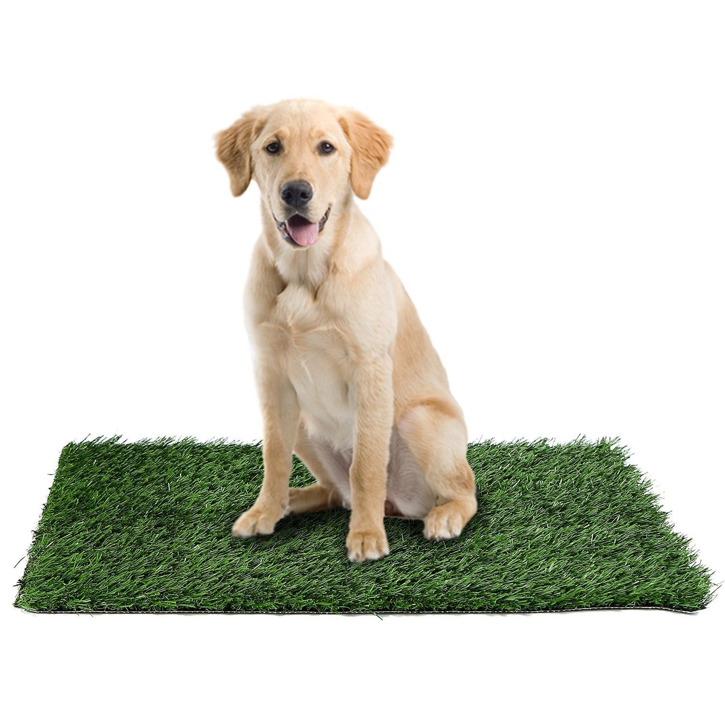 Dog seated on rectangular artificial grass mat on white background showing full surface and scale