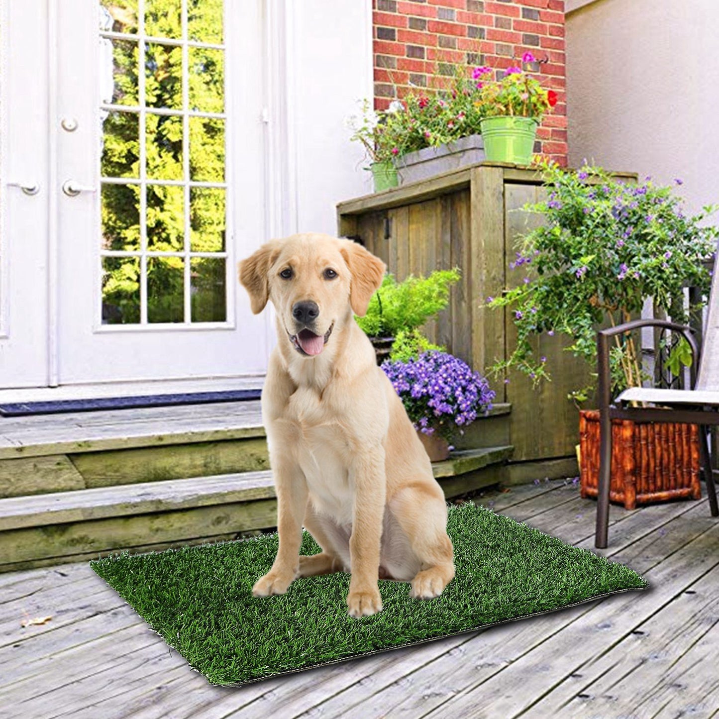 Artificial grass mat placed on wooden porch with a dog seated on it to show outdoor use