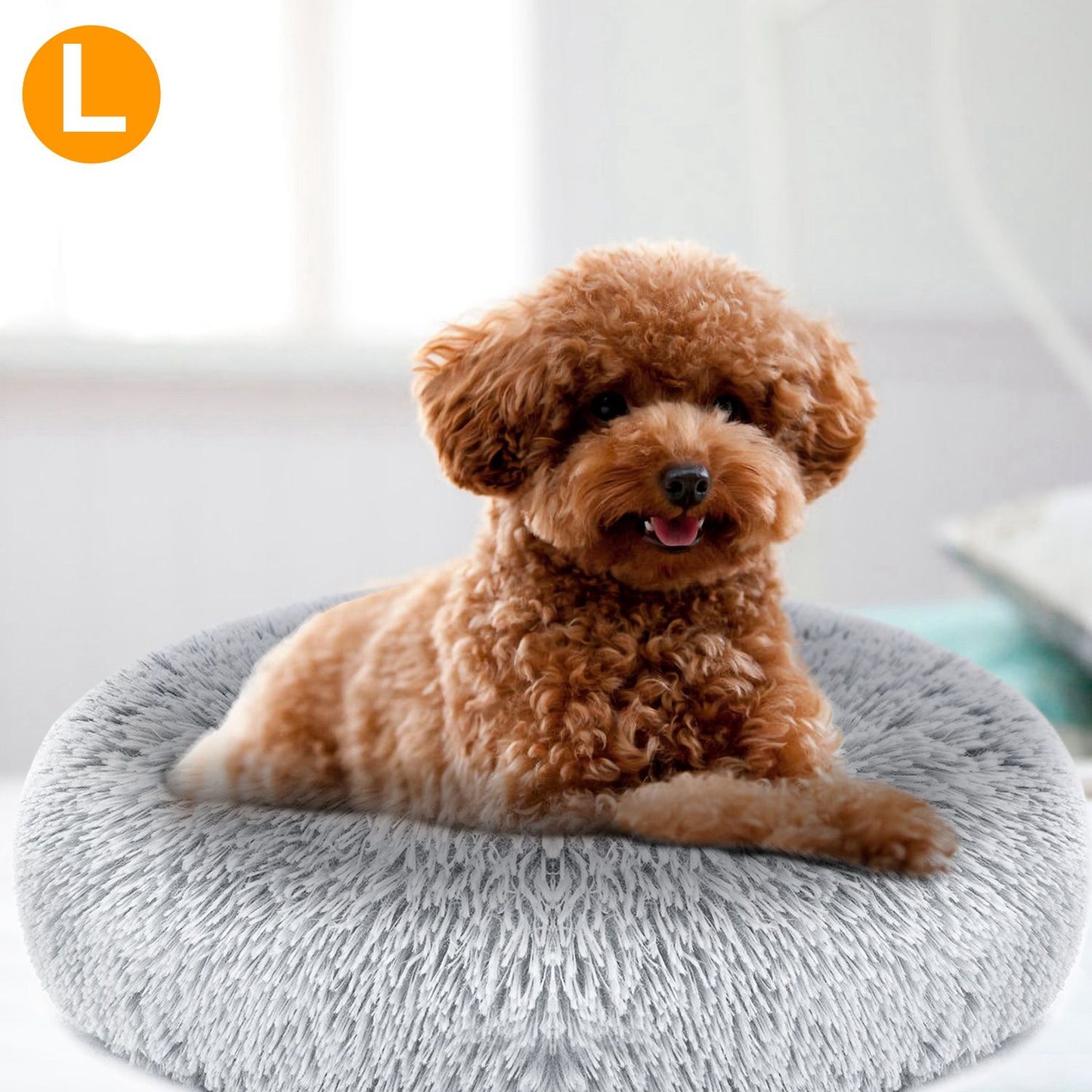 Brown curly dog resting in center of grey plush donut pet bed