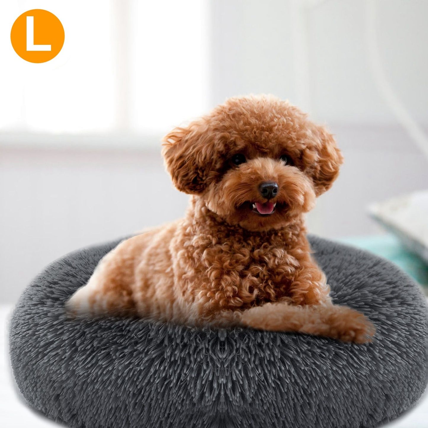 Brown curly dog lying on dark grey plush donut pet bed showing supportive rim