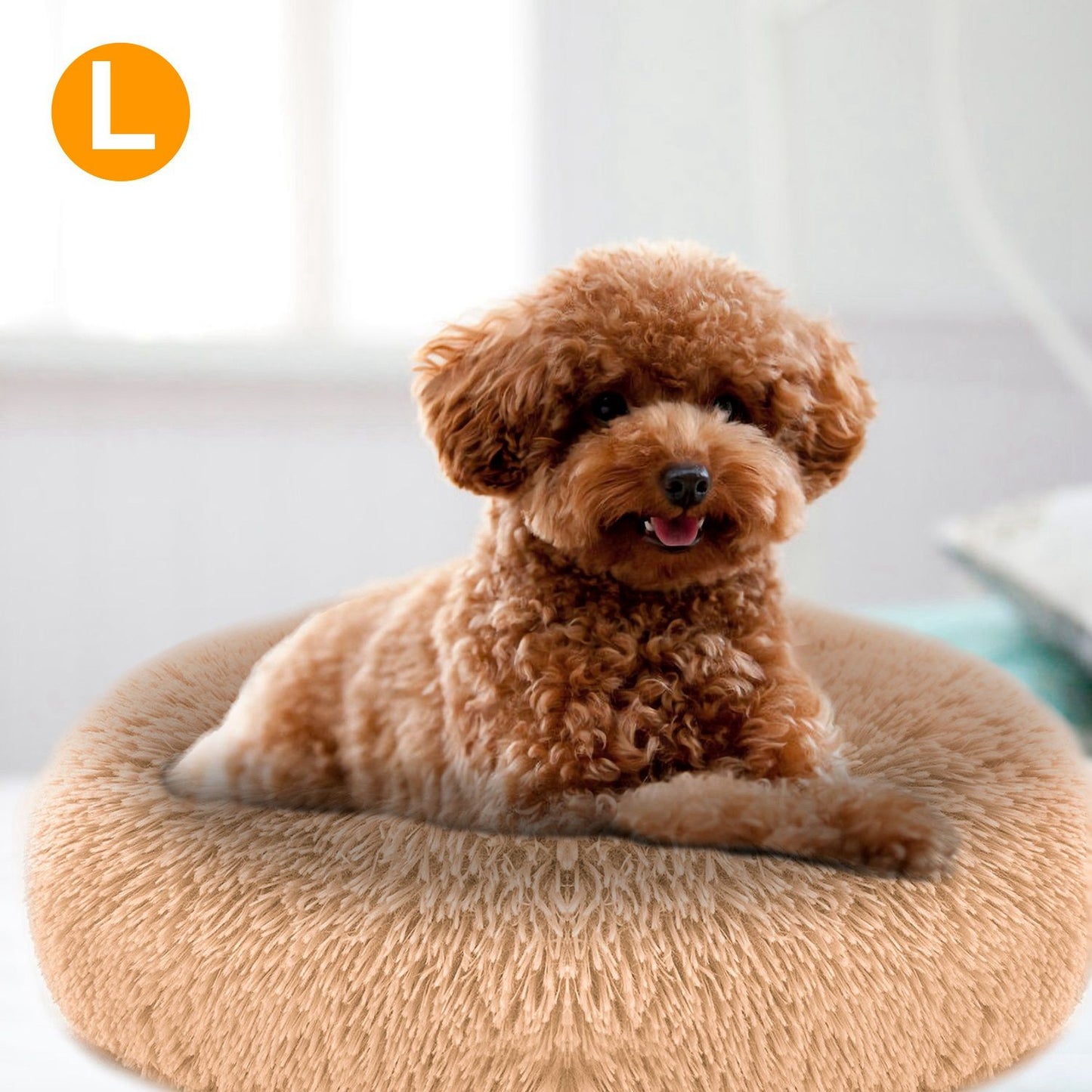 Small curly brown dog lying on apricot plush donut pet bed