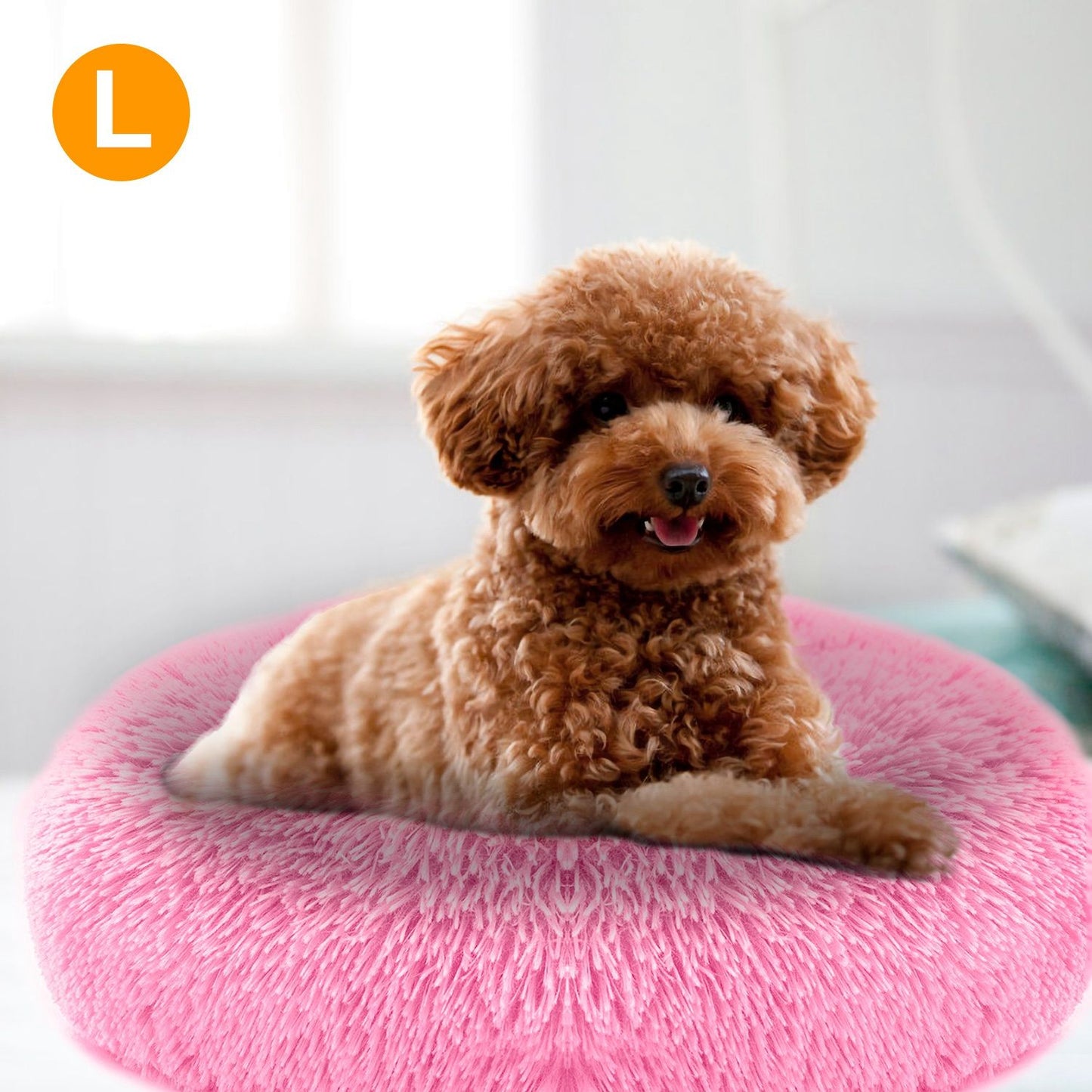 Small curly brown dog reclining in center of pink plush donut pet bed