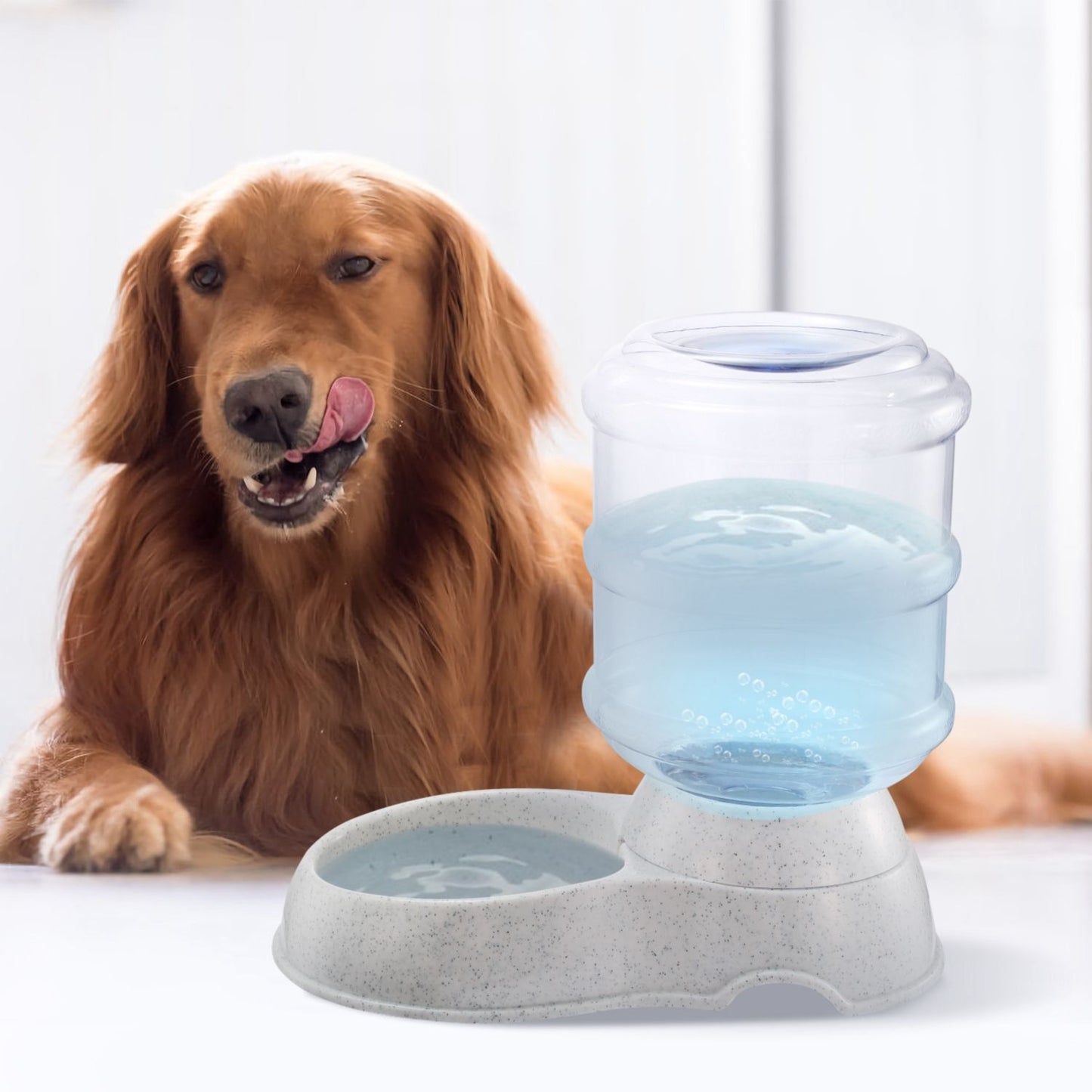 Golden retriever next to a clear-reservoir gravity pet water dispenser on a white surface