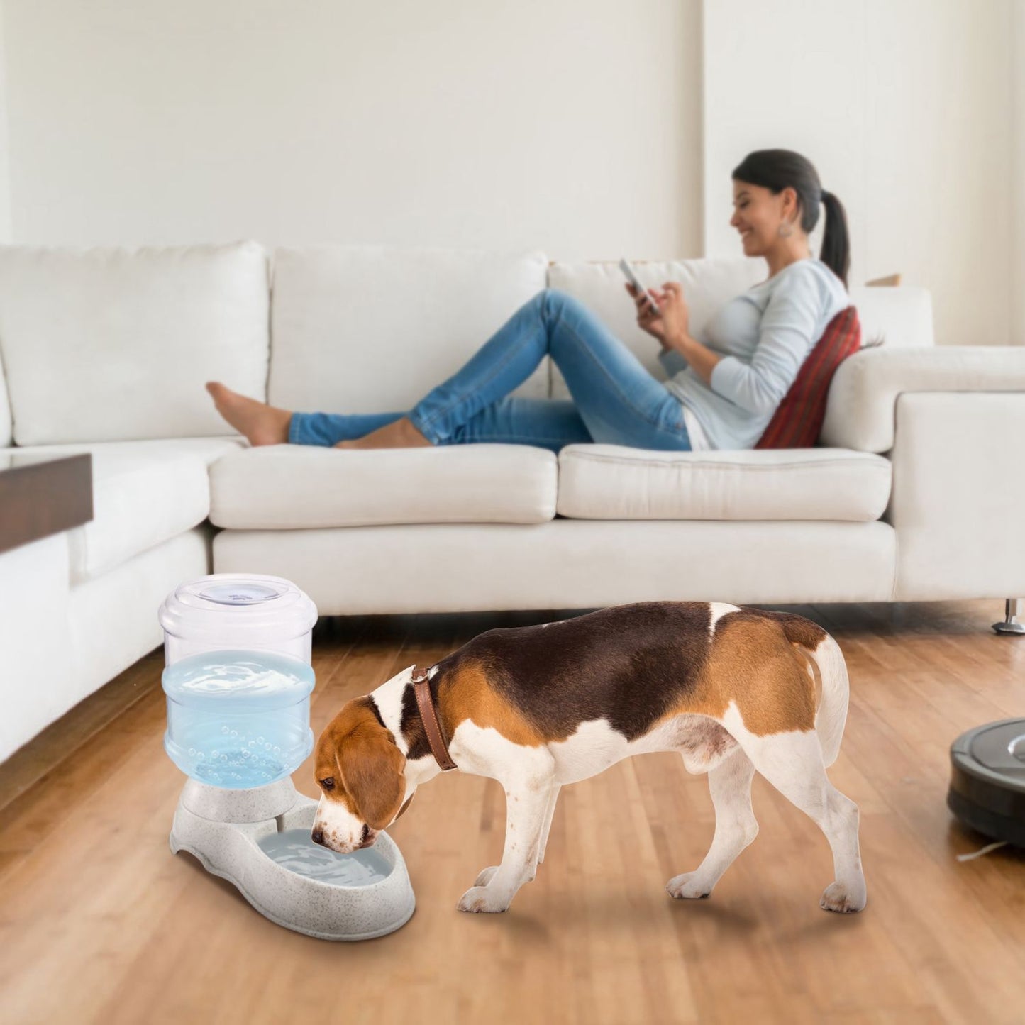 Dog drinking from pet water dispenser in a living room beside a sofa