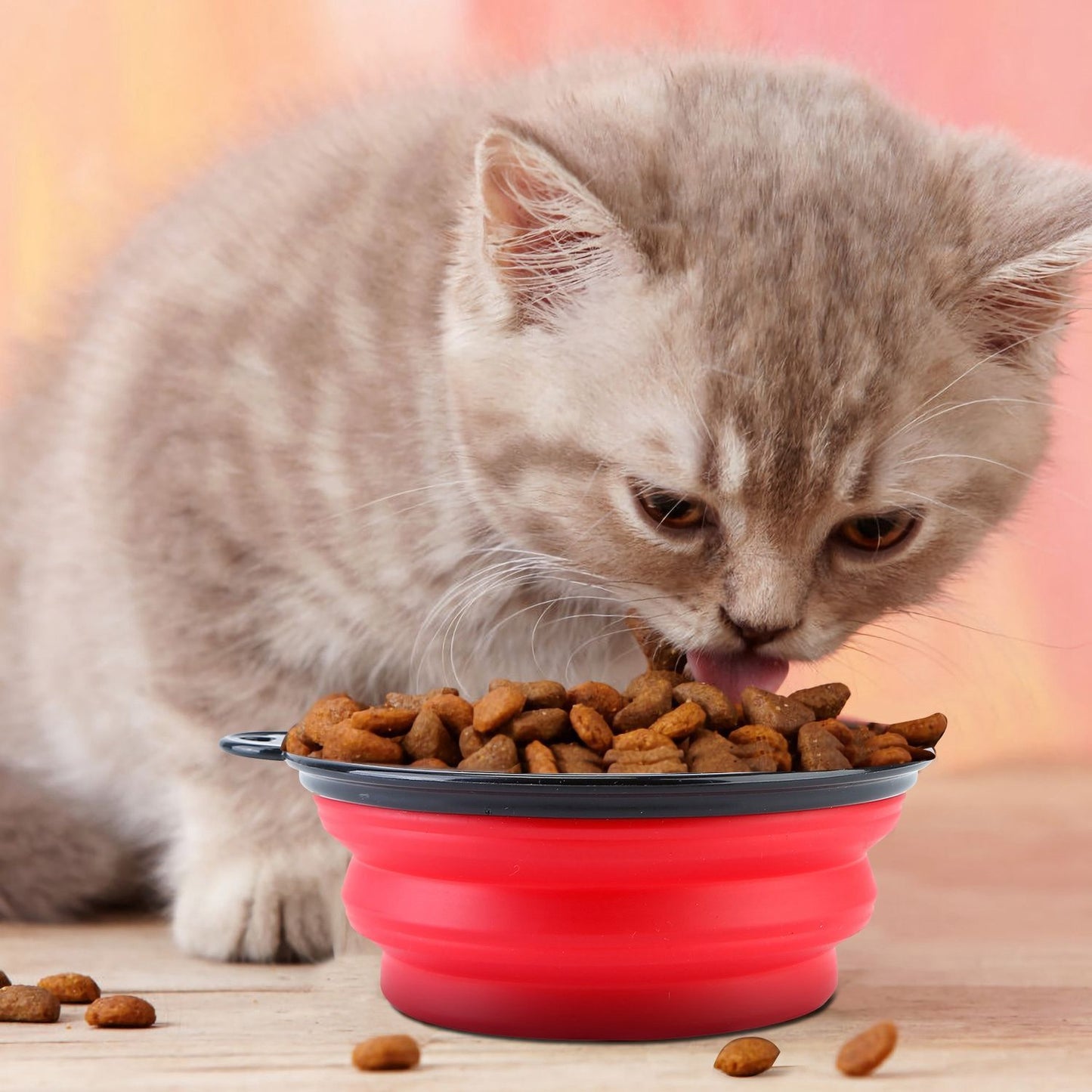 Gray cat eating dry food from a red collapsible travel bowl on a table