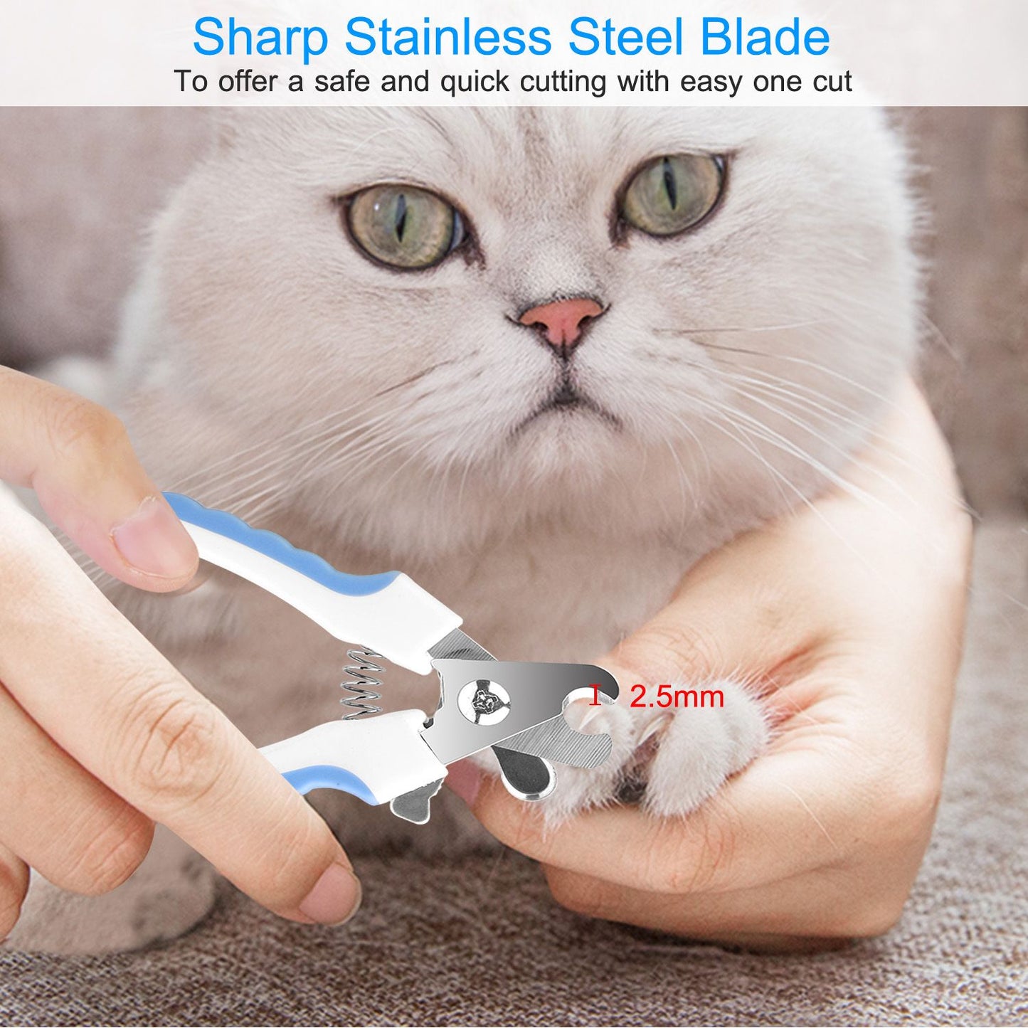 Close-up of clipper blade near a cat's nail highlighting stainless steel blade and 2.5mm guide