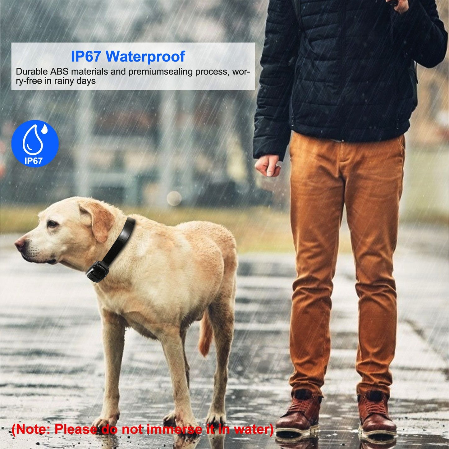 Dog wearing black waterproof training collar in rain demonstrating IP67 protection